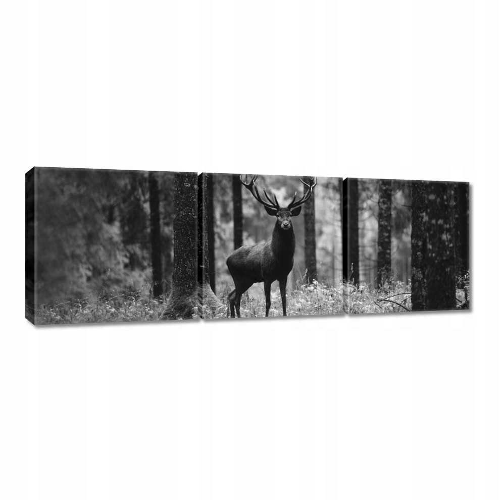 

Obrazy 60x20 Jeleń w lesie B&w