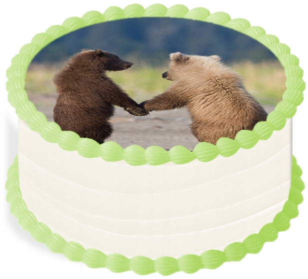oplatek na dort 14 cm Zvířátka Medvídek Medvěd