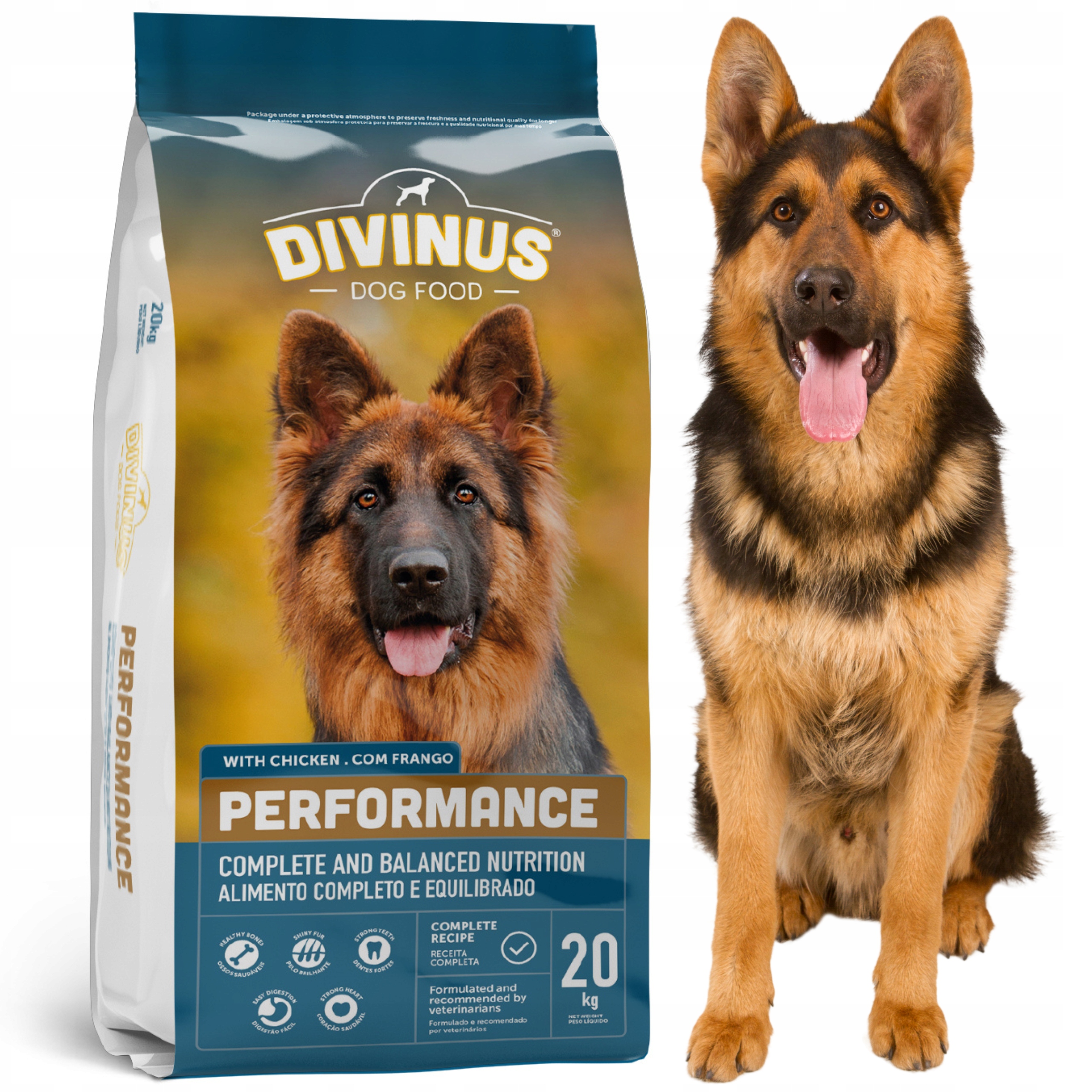 Divinus Performance Sucha karma dla Owczarka Niemieckiego Labradora 20kg