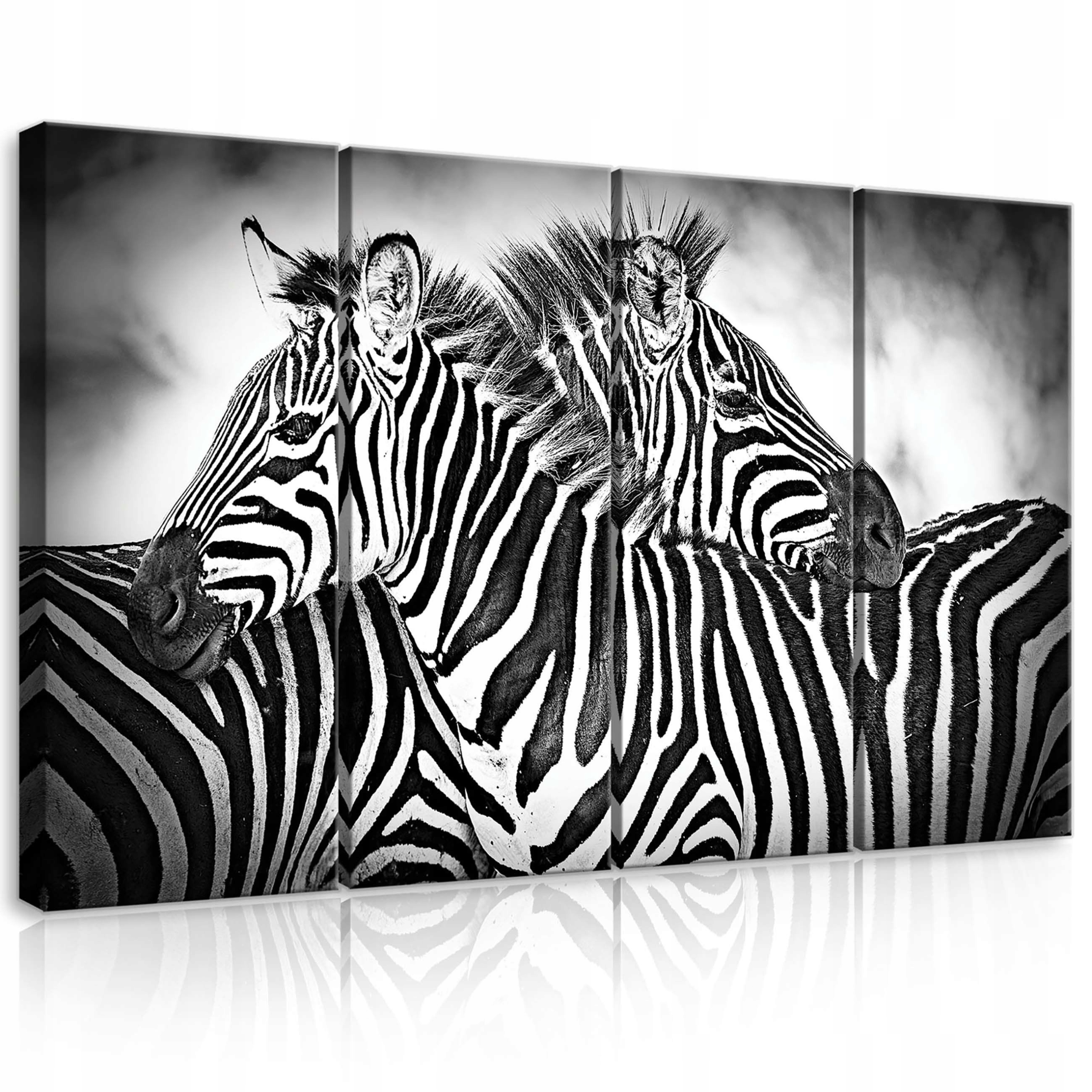 Obraz 120x80 Zebra monochromatický divoká příroda Afrika pruhy zvířata