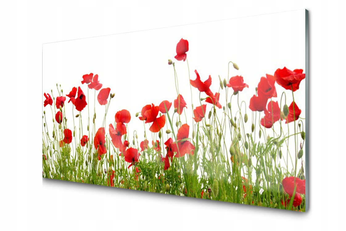 

Panel szklany Płytka Łąka Maki Kwiaty 120x60