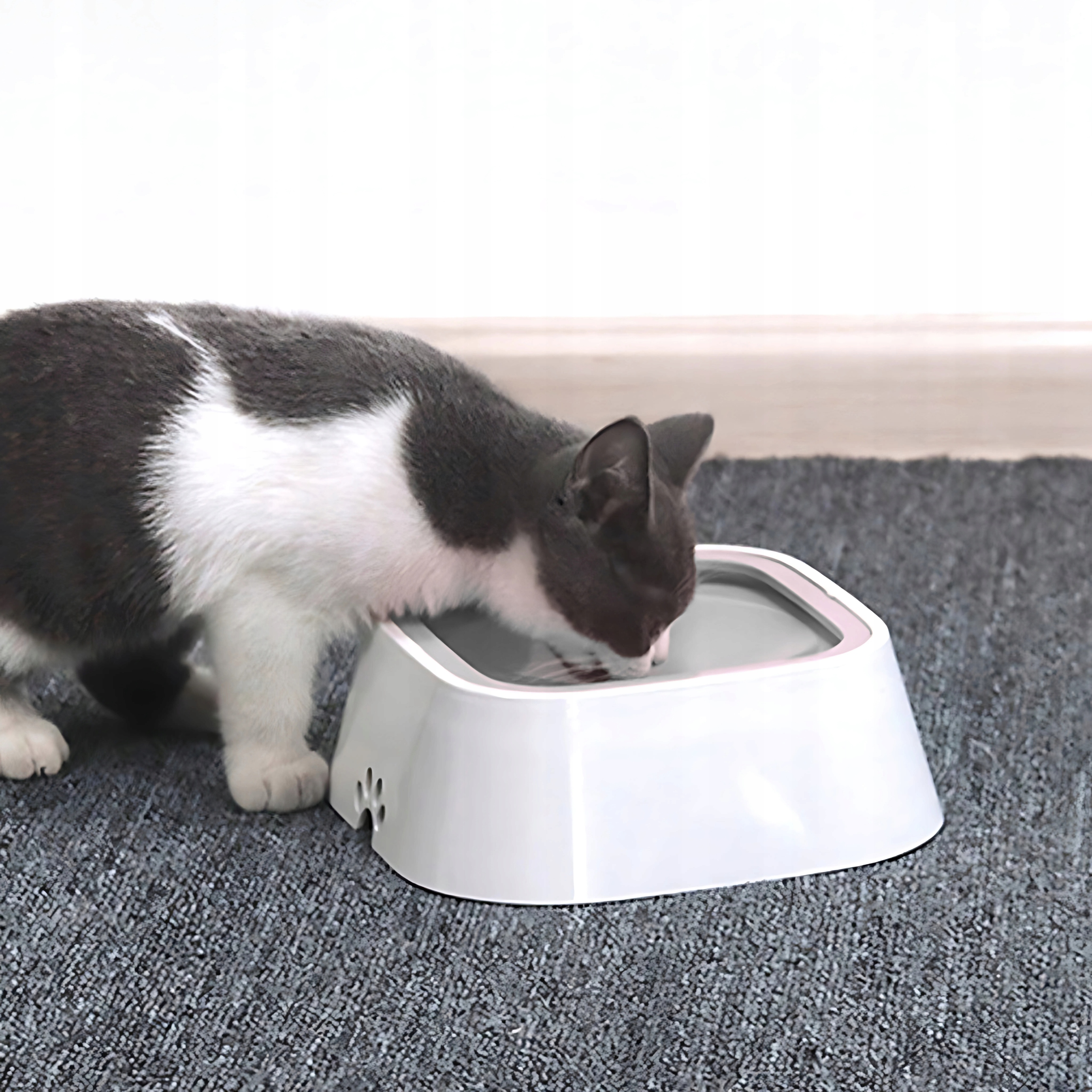 MISKA PŁYWAJĄCA PREMIUM DLA PSA KOTA NA WODĘ POIDŁO NIECHLAPIĄCA 1,5 L Rodzaj poidło