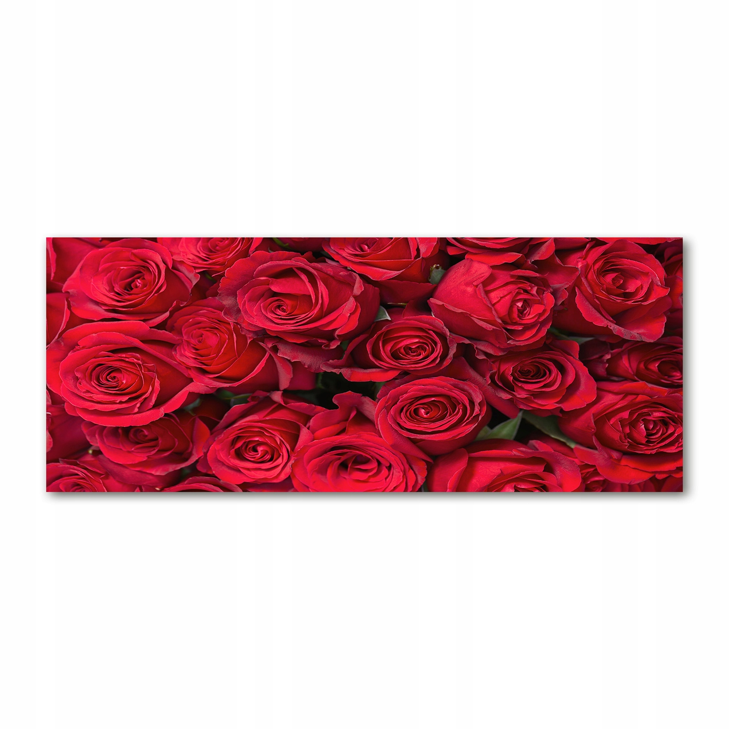 

Foto obraz akryl zdjęcie Czerwone róże 125x50 cm