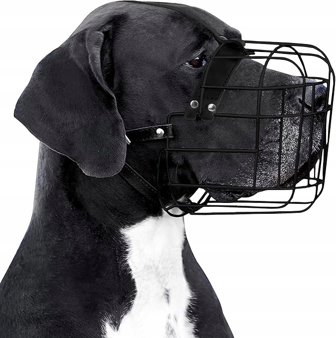 Kovový náhubek BronzeDog