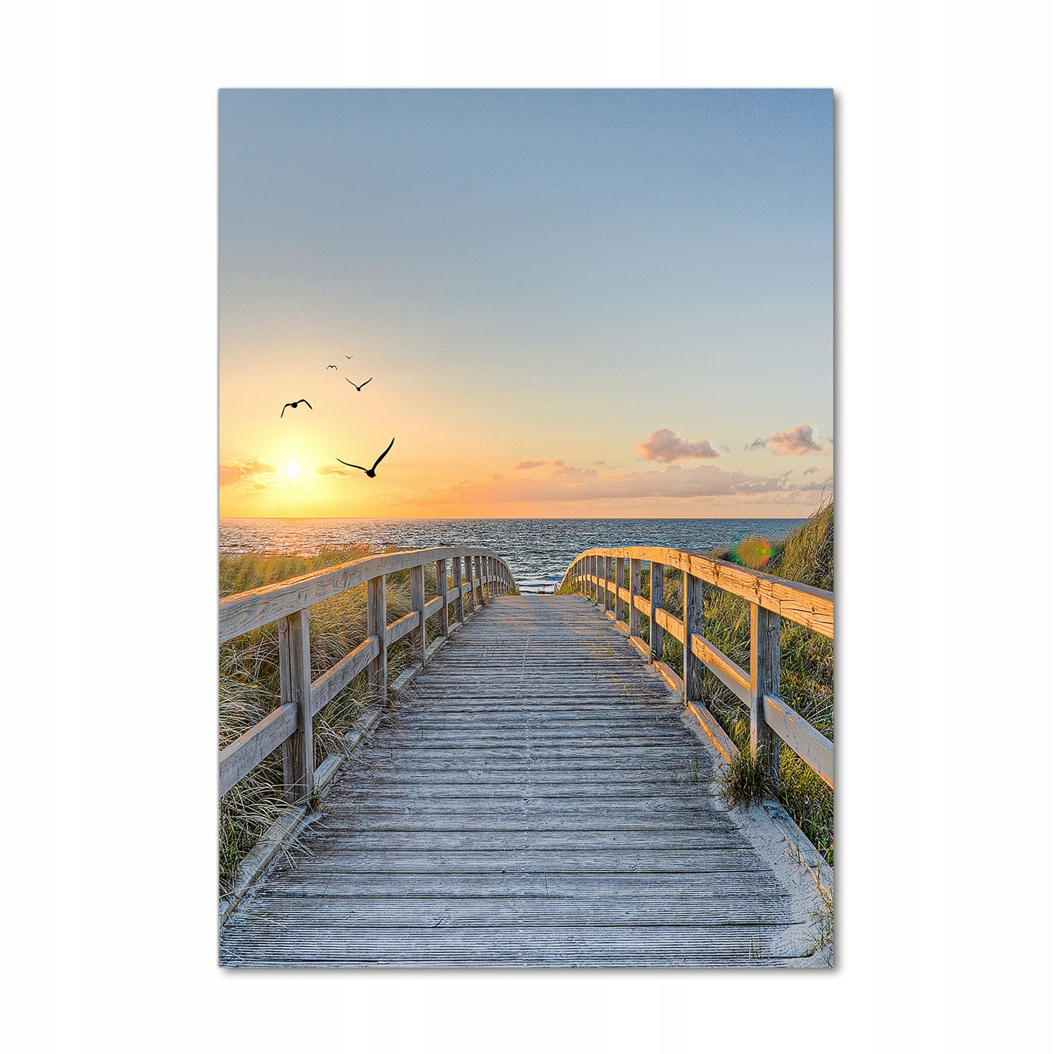 

Foto obraz szklany pionowy Ścieżka na plażę 70x100