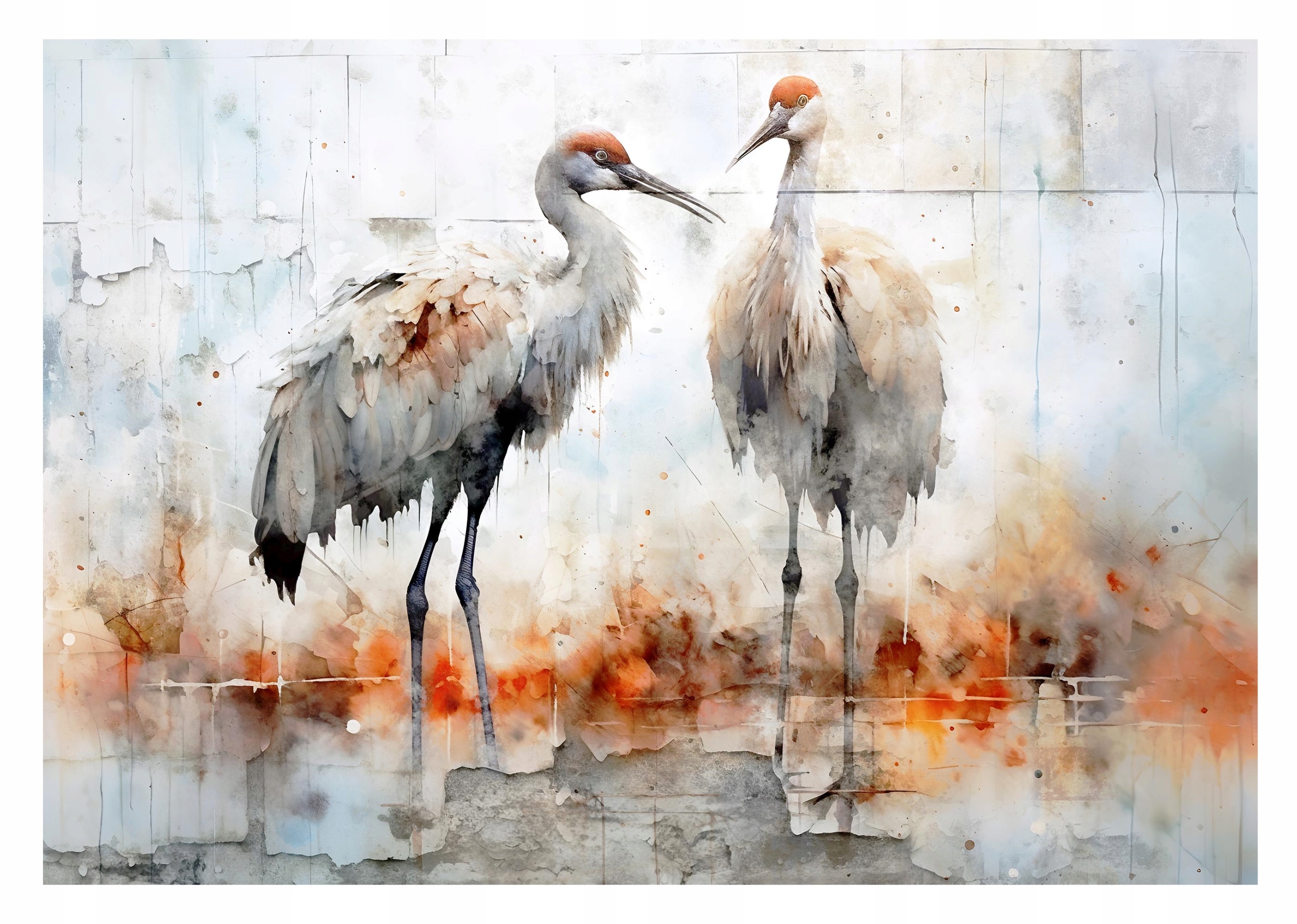 Fototapeta Ptáci Jeřábi Beton Rez Zeď 312x219