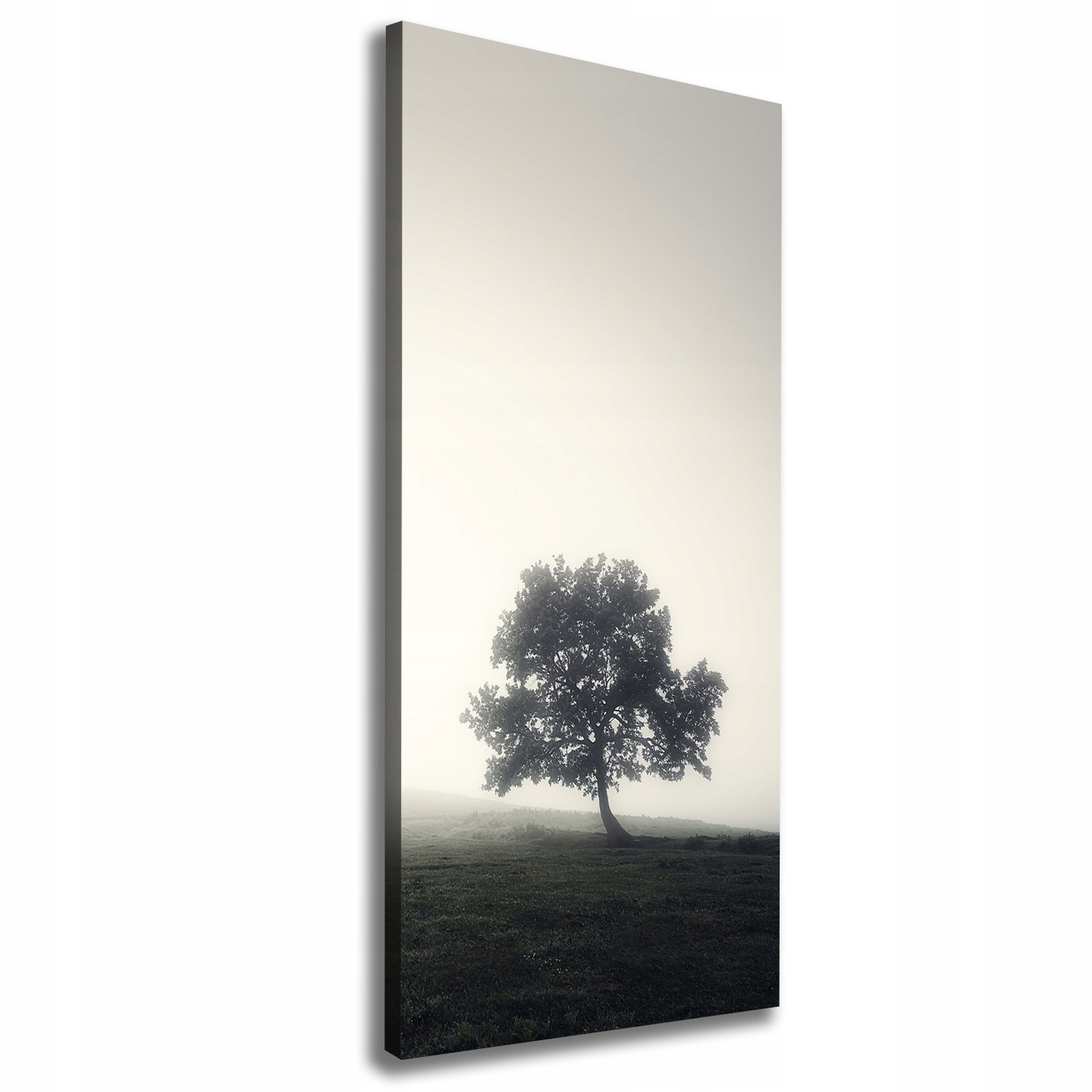 

Foto obraz na płótnie Drzewo we mgle 50x125 cm