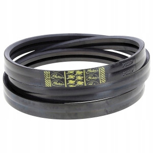 1527432 - Клиновий пас