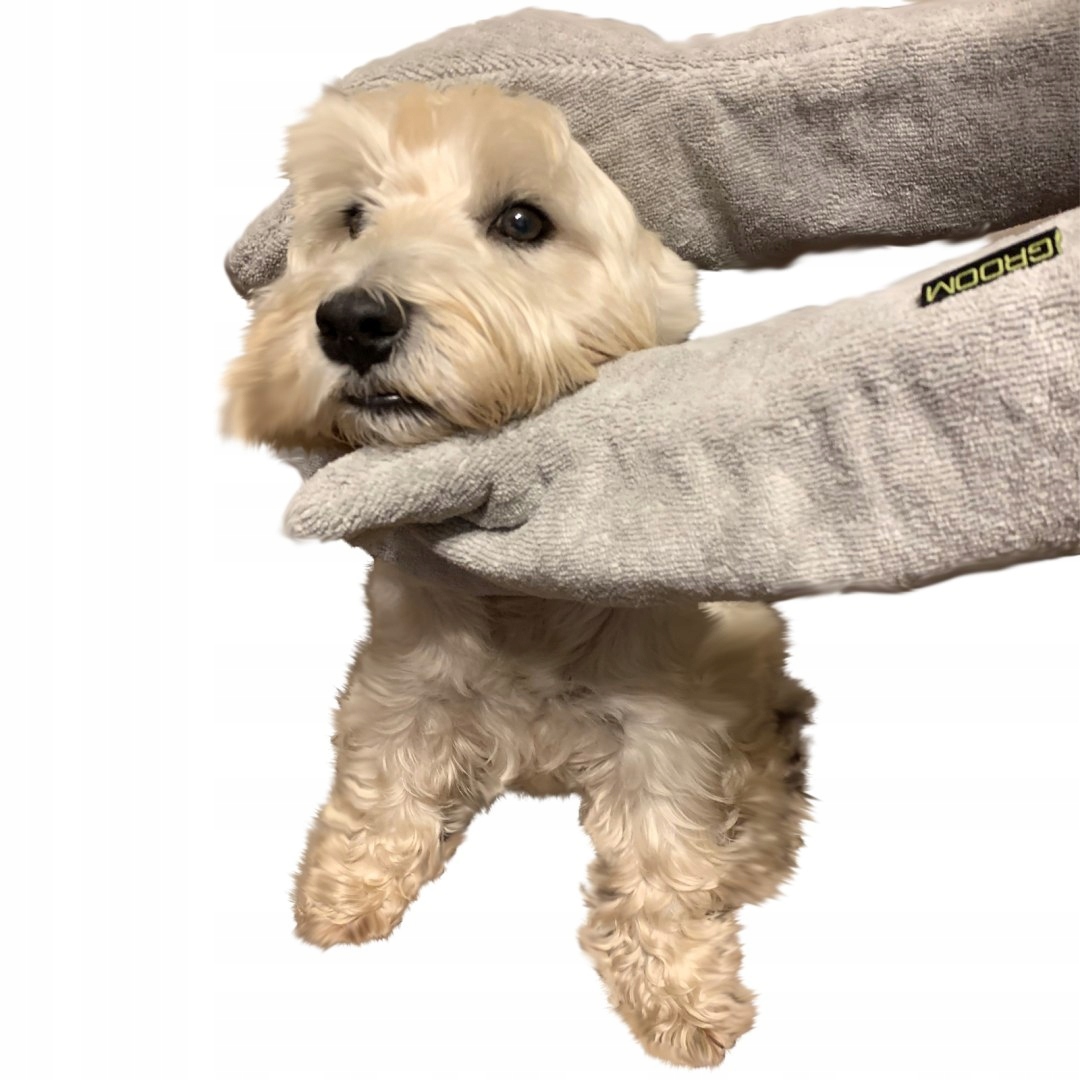 Levně Groom Rub Down Mitts rukavice na sušení psa