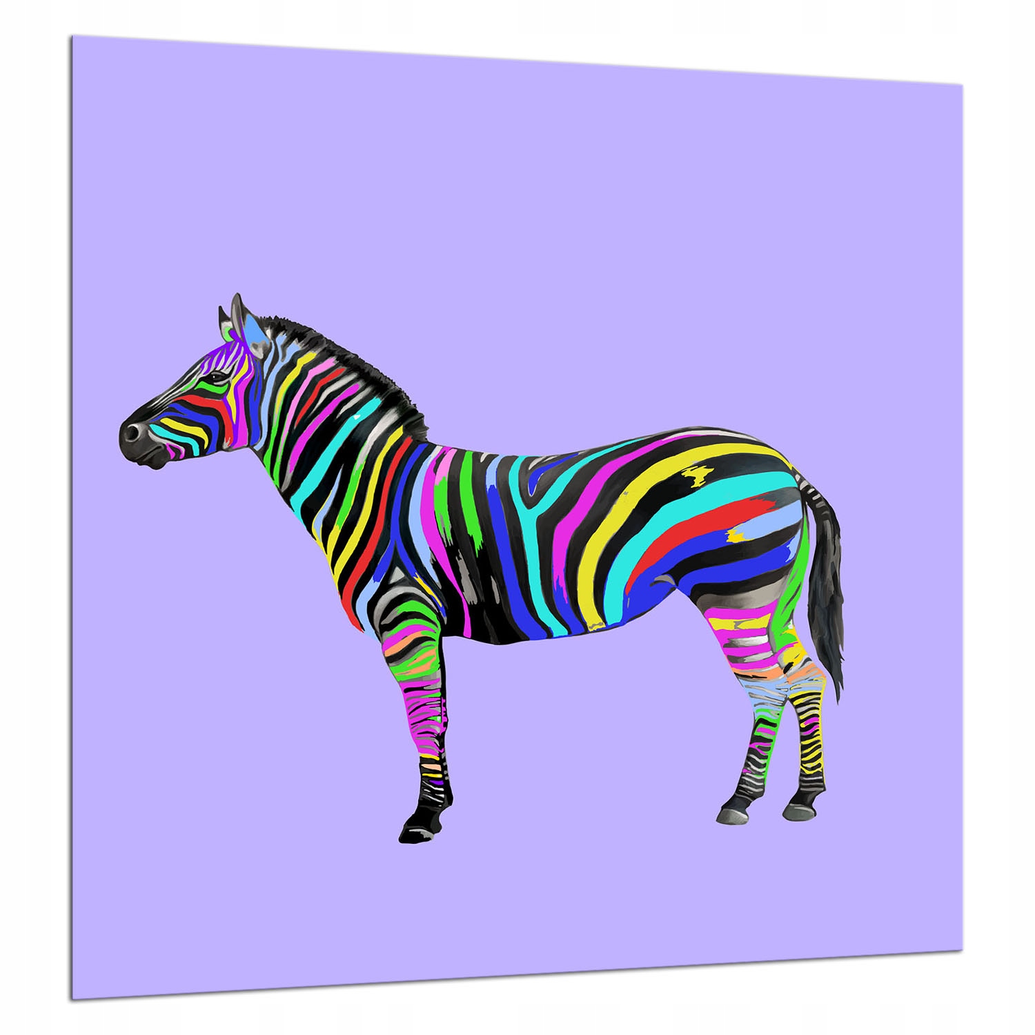 Ochranný Skleněný Panel Do Kuchyně 60x65 Zebra Lacobel 7v1
