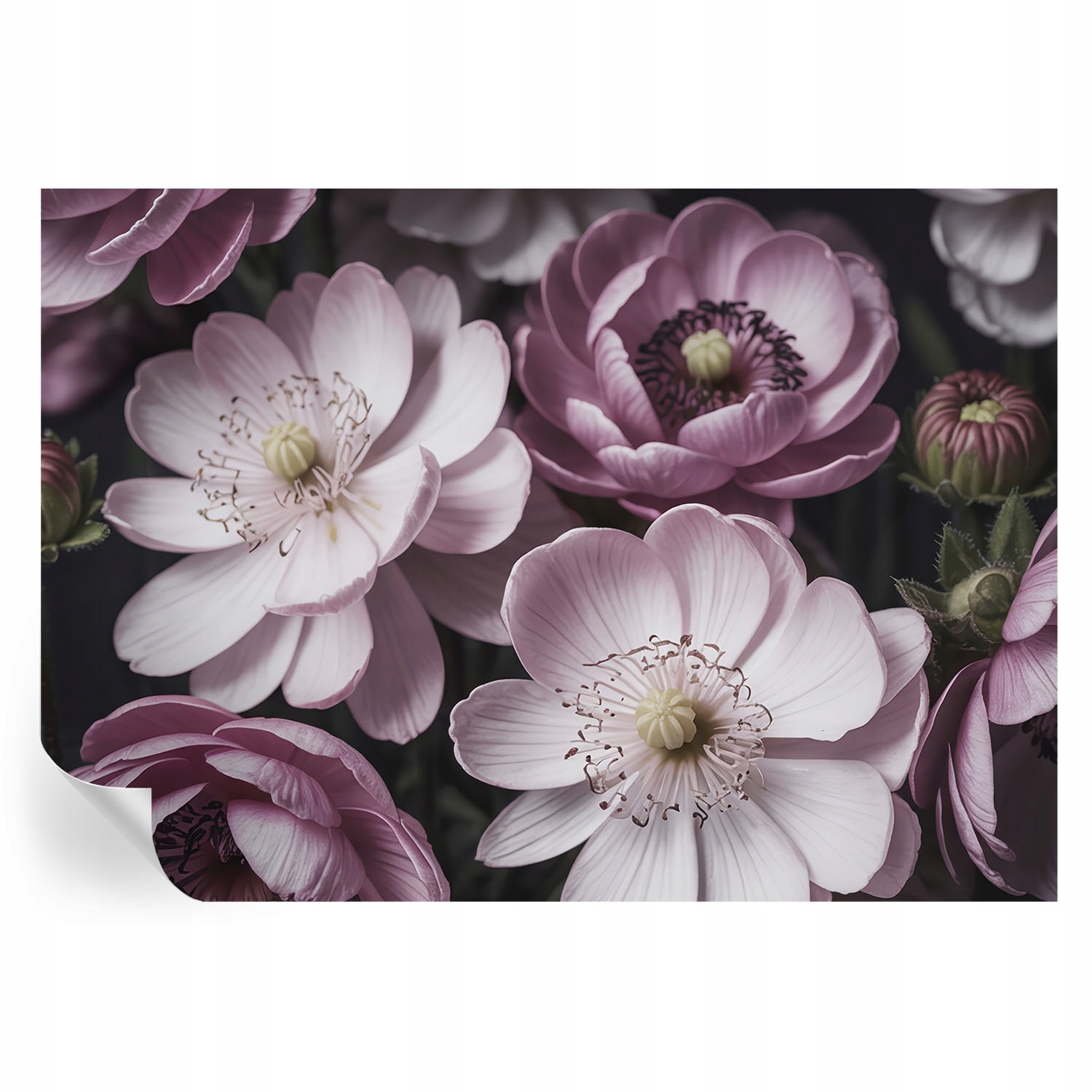 Samolepiaca fototapeta na stenu do izby Kvetinová elegancia 312x219 cm