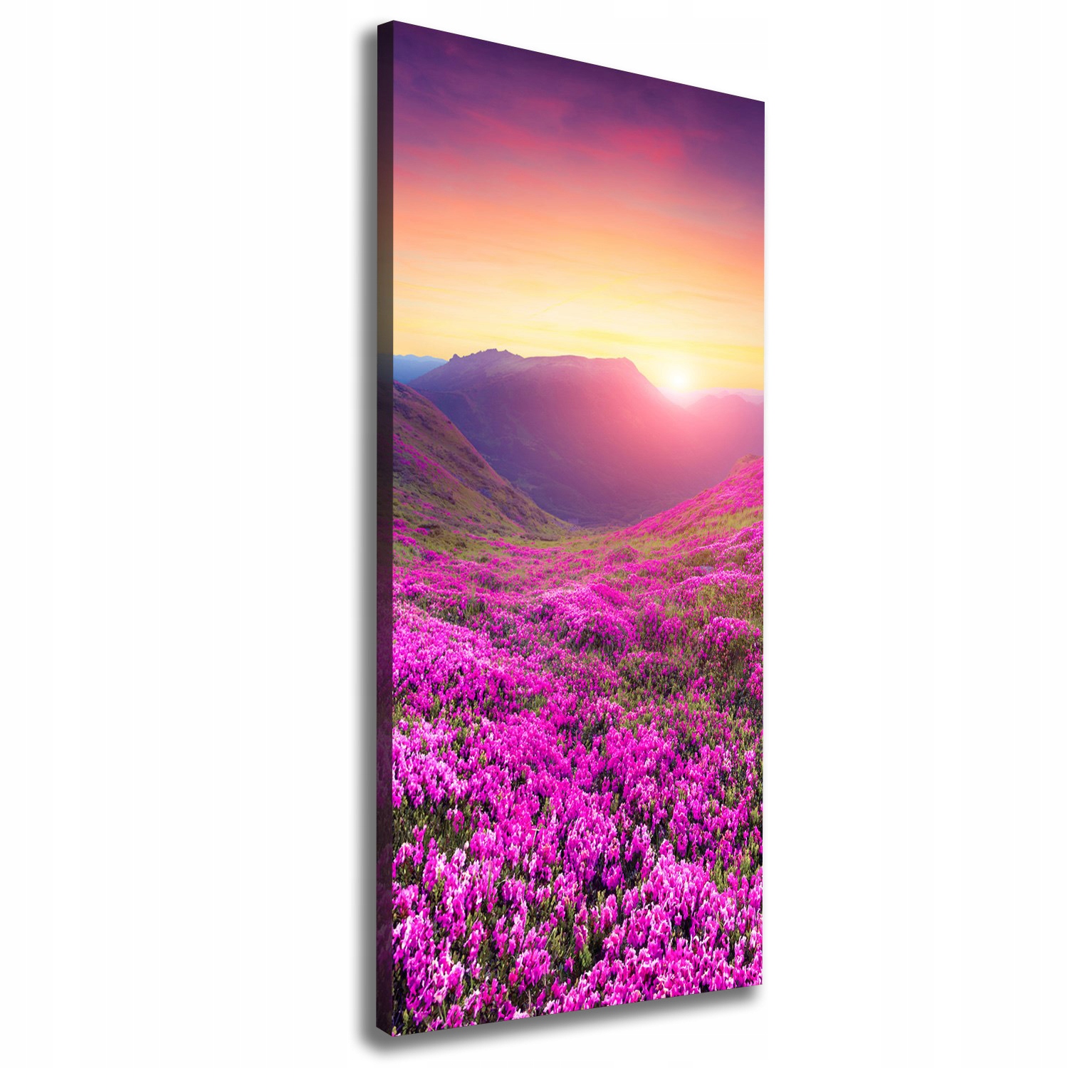 

Foto obraz na płótnie Góry rododendron 50x125 cm