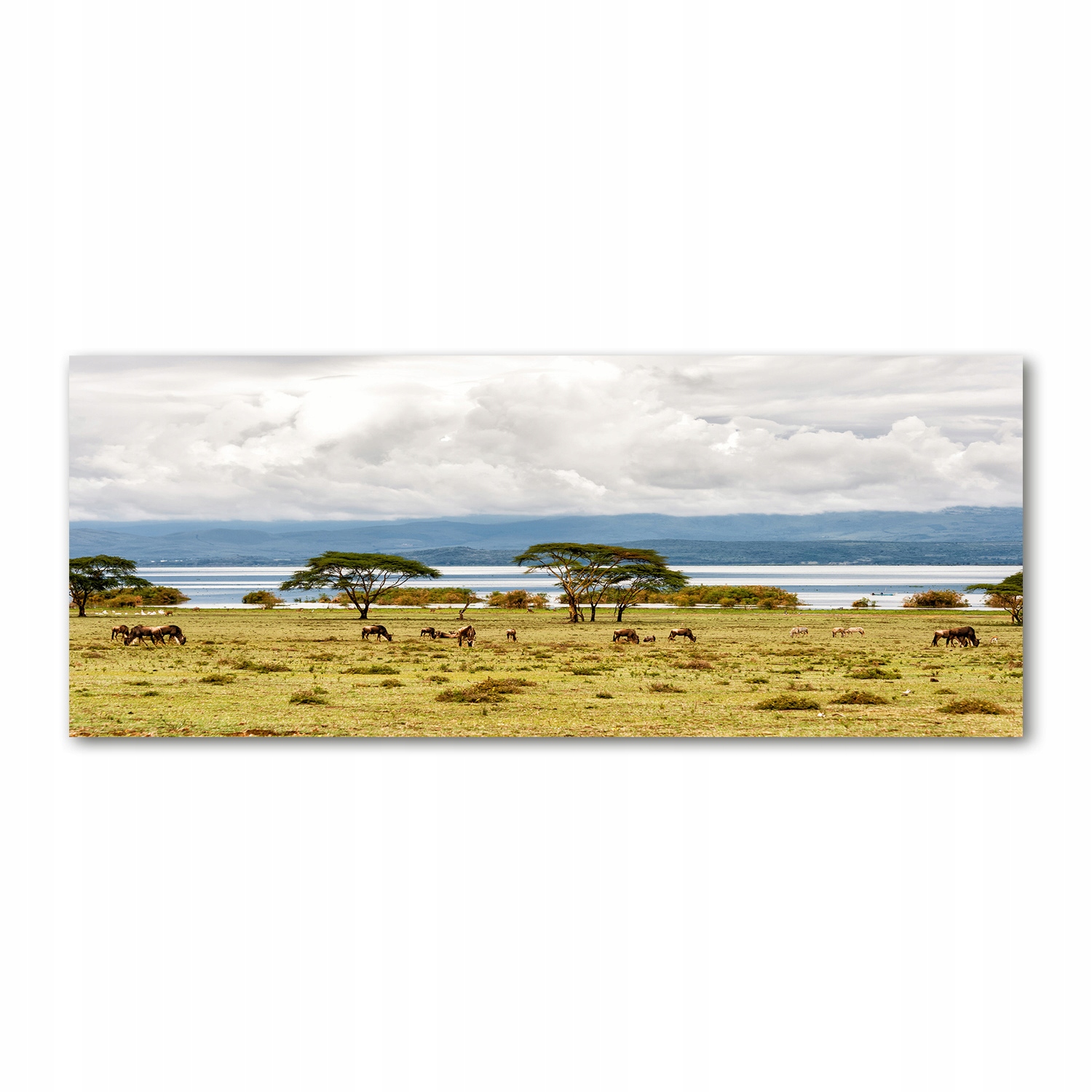 

Foto obraz szkło akryl Jezioro Naivasha 125x50 cm