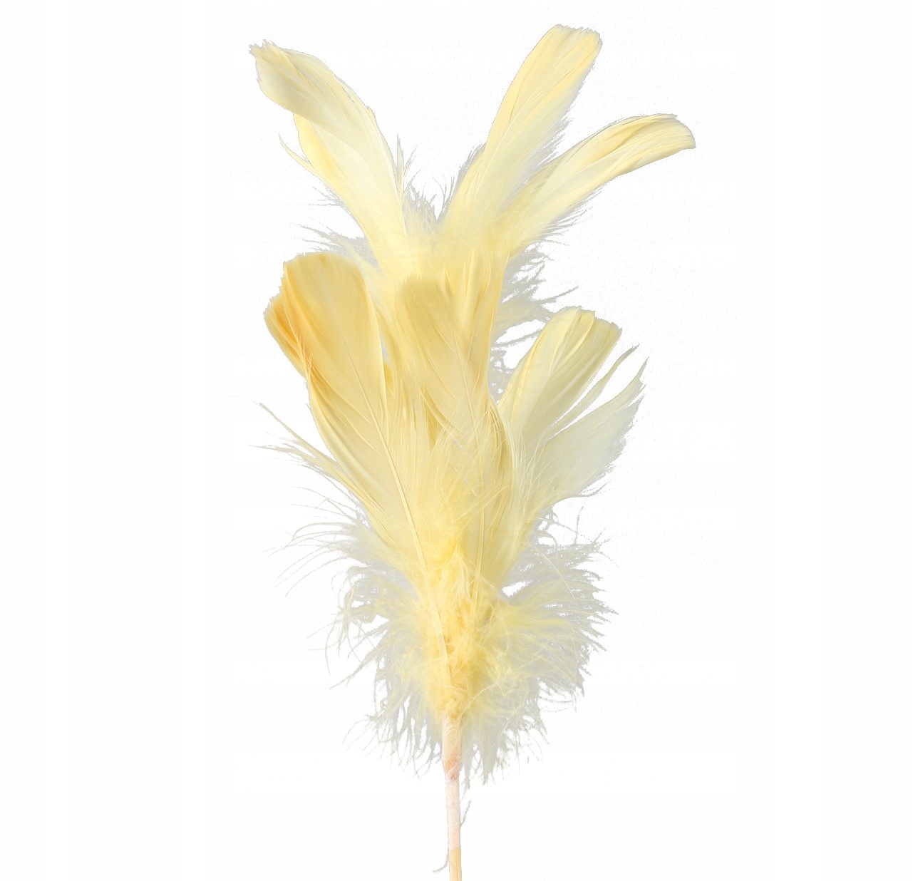 PIÓRA PIÓRKA NATURALNE DEKORACYJNE NA PIKU