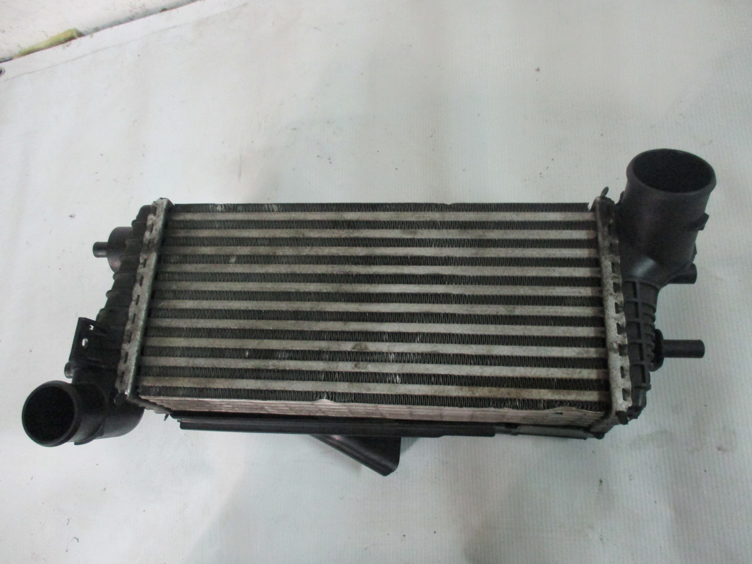 Kühler intercooler Focus MK3 1,6 TDCI BV61-9L440-CG