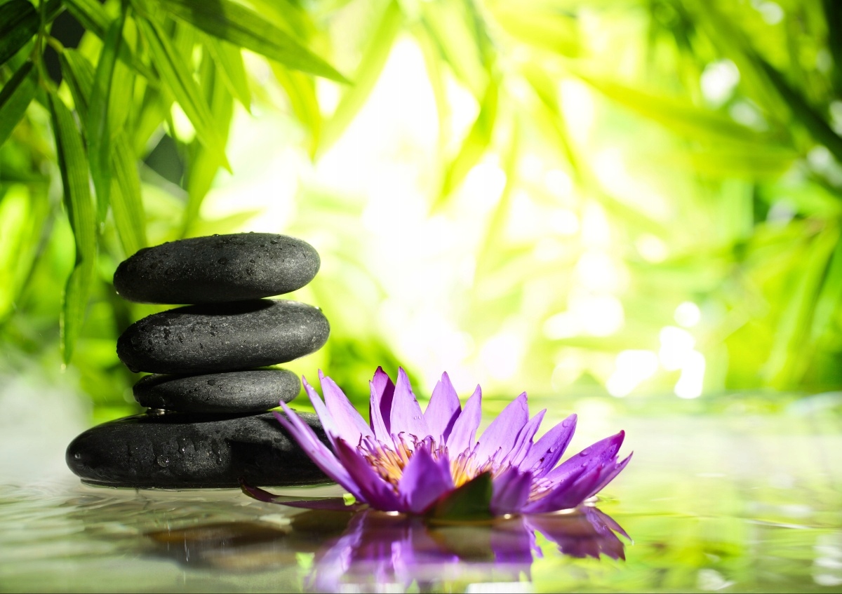 

Tapeta flizelinowa Lotos i kamień Zen 208x146