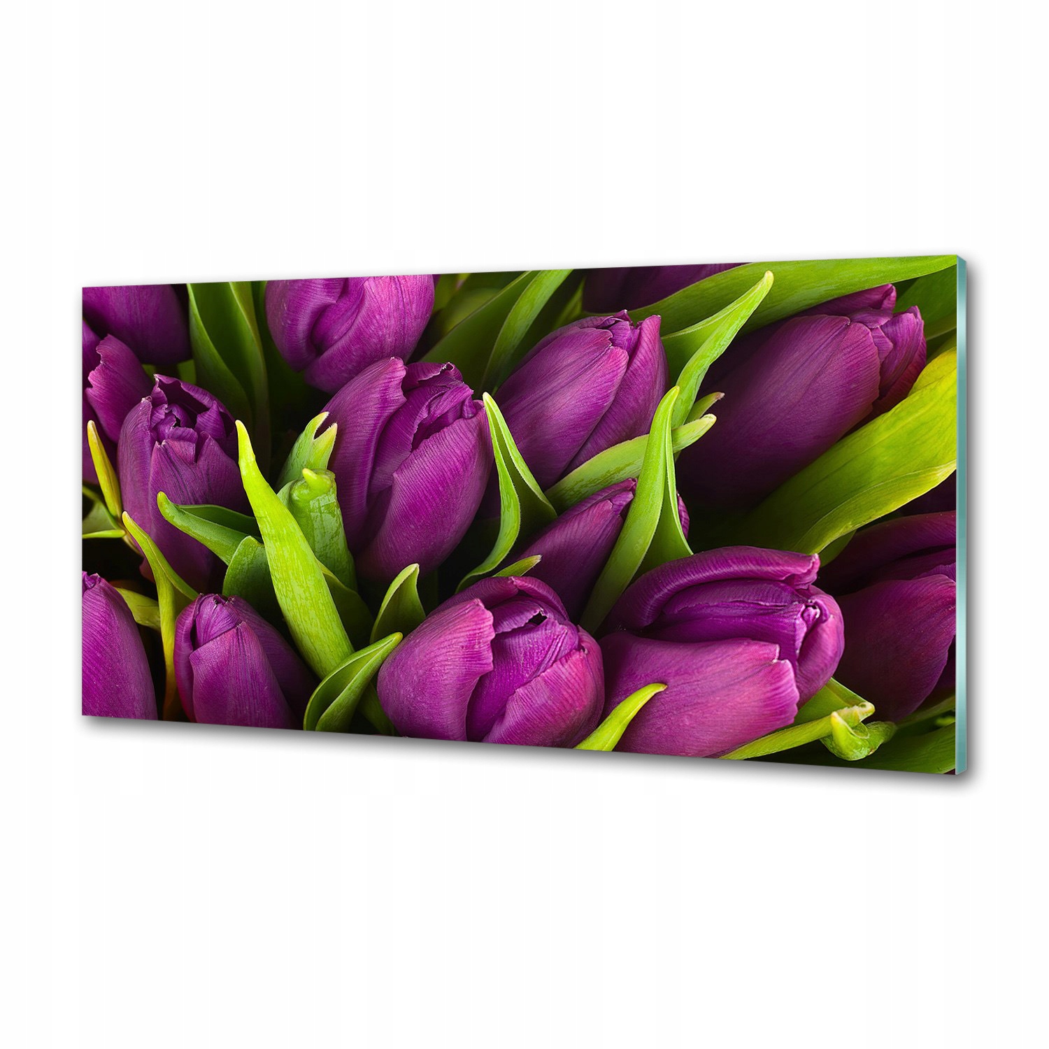 Panel do kuchyne Fialové tulipány 120x60 Lepidlo