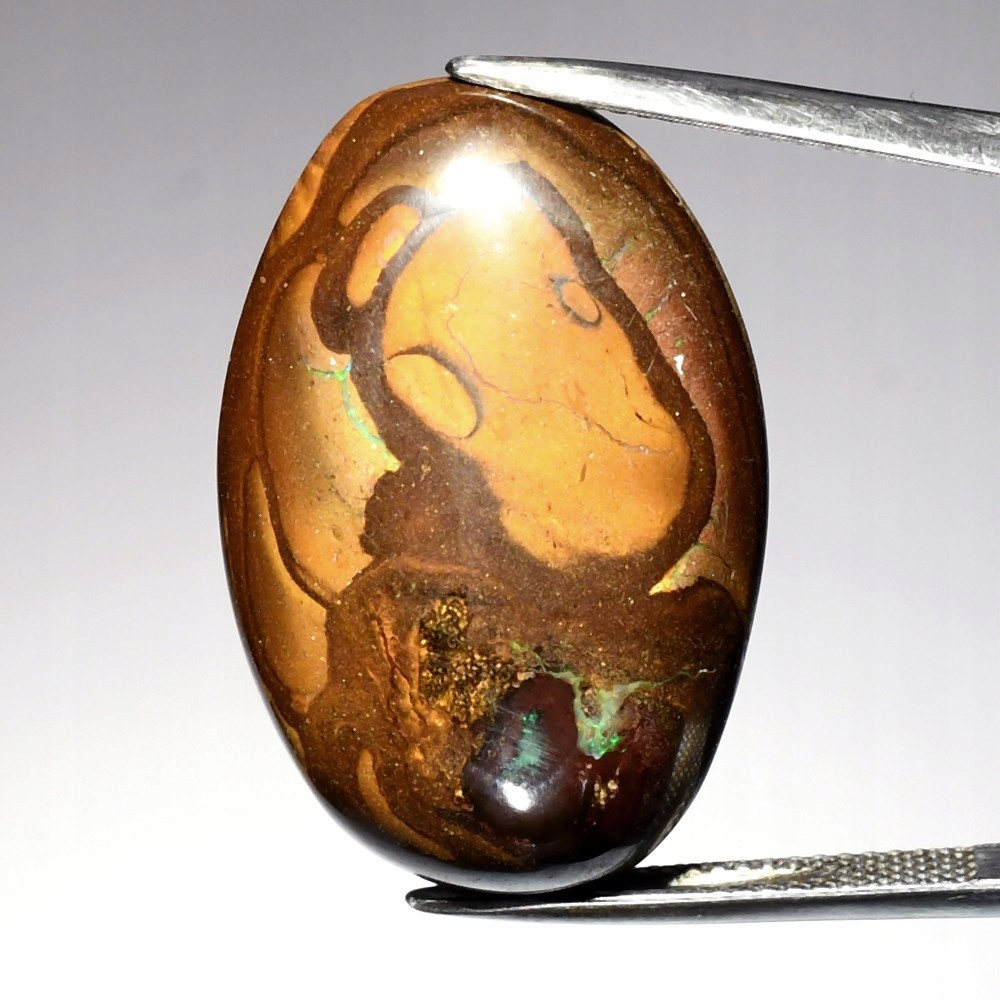 Opal Natural Boulder Koroit Nut 35,70 ct video KOP1132