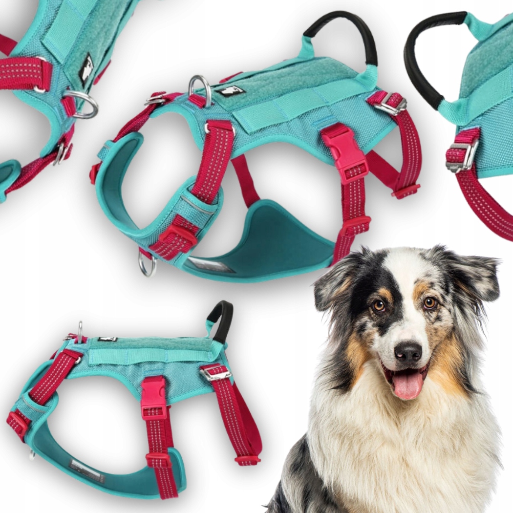 Levně Reflexní Protiúnikové Postroje Pro Psa Truelove Safe Hiking Modré L