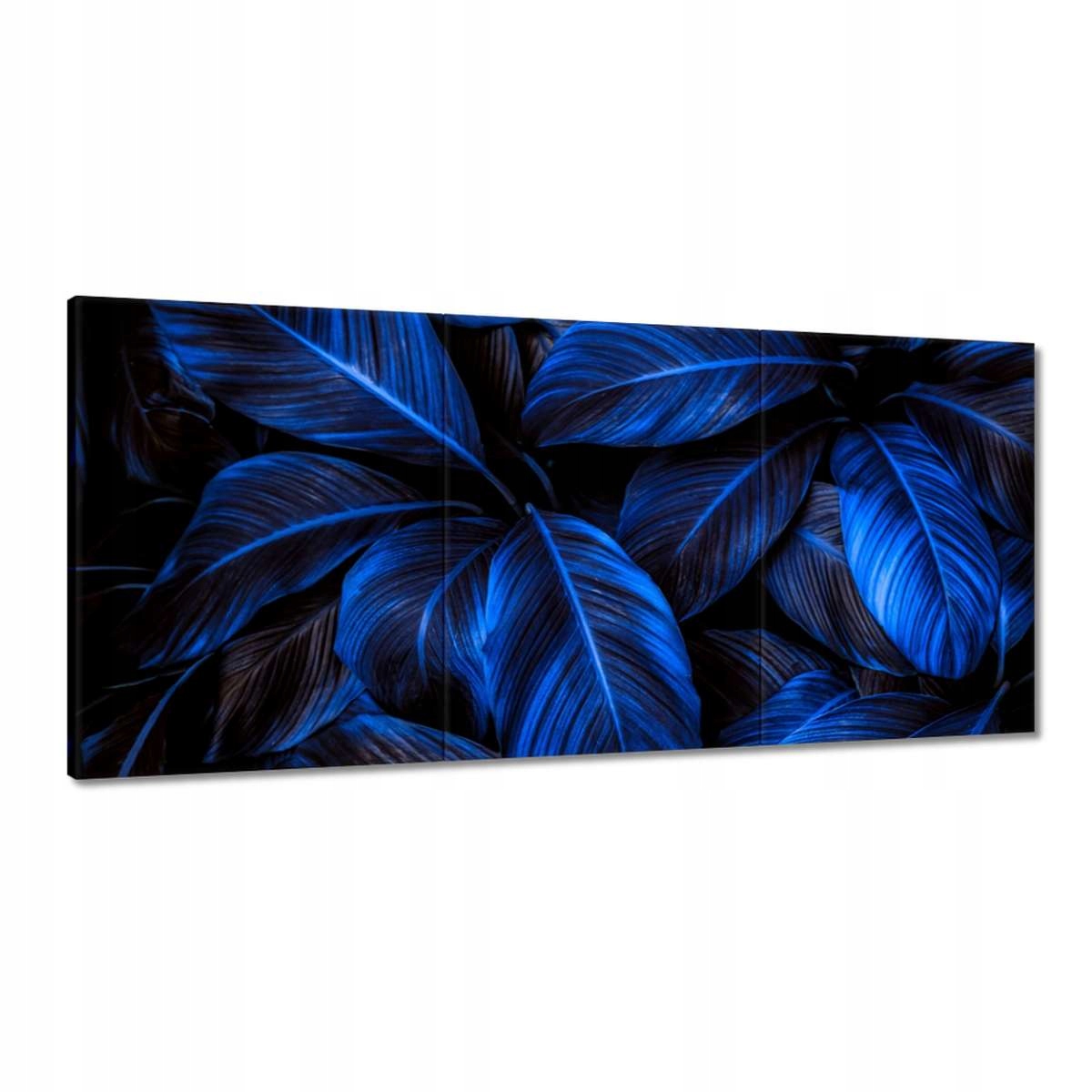 Obrazy 210x100 Modré listy