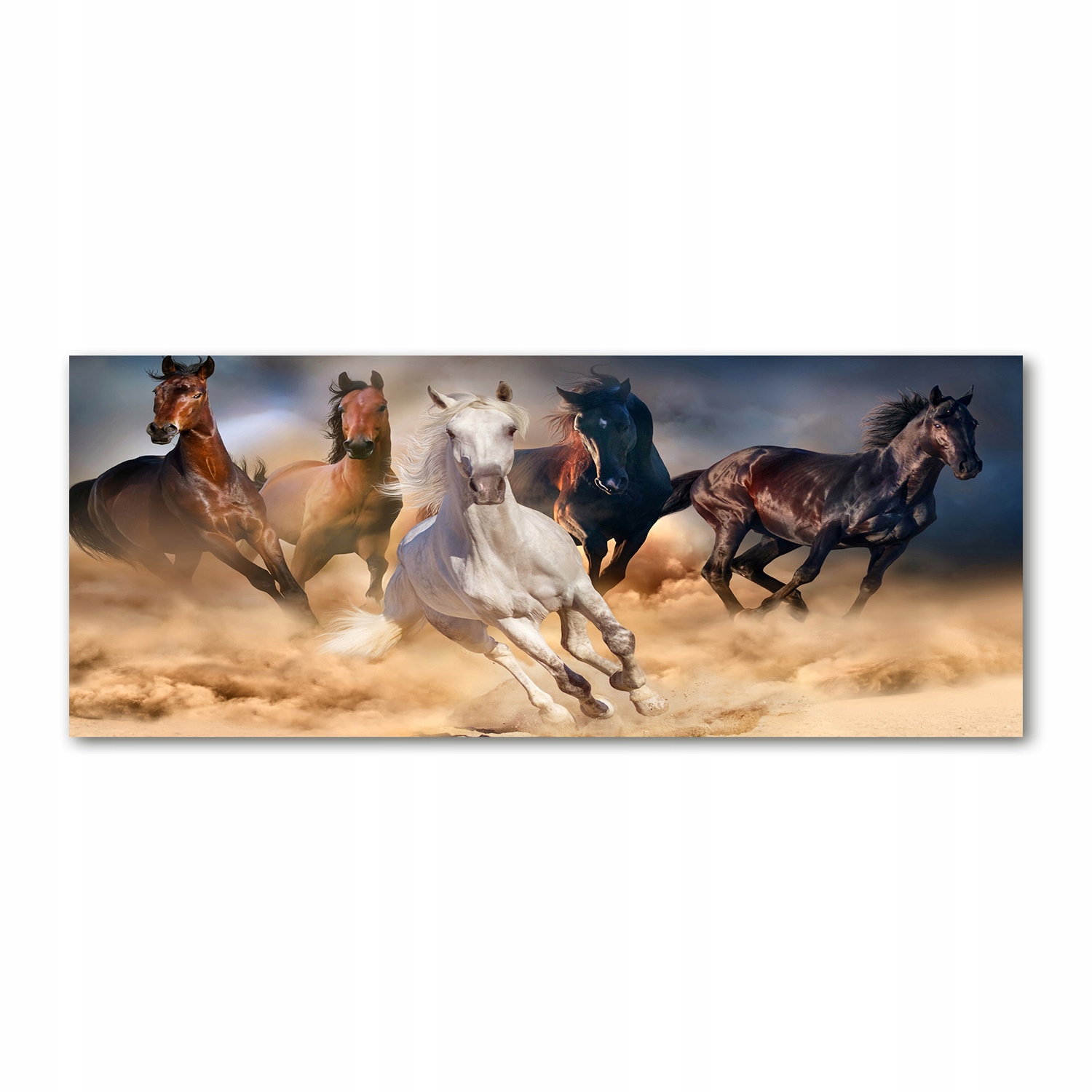 

Foto obraz akryl zdjęcie Konie w galopie 125x50 cm