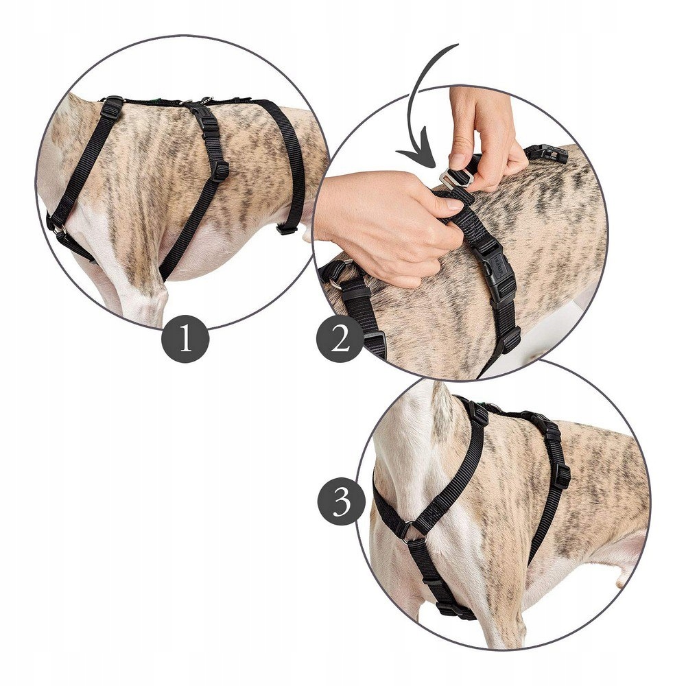 Postroj pro psa Hunter 38-52 cm Hnědá Černá Xs/s