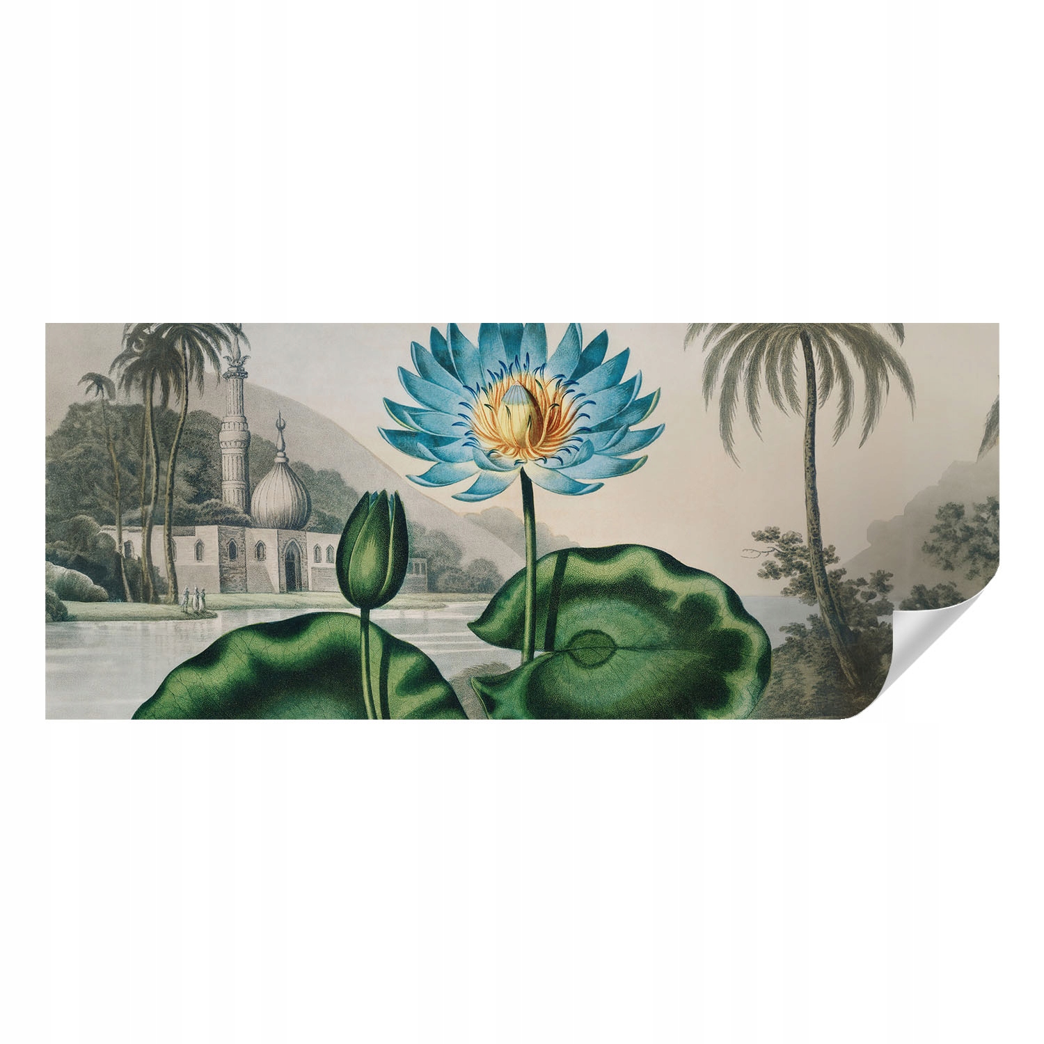 Foto Tapeta Samolepicí Nástěnná zeď Exotická krajina 250 x 104 cm