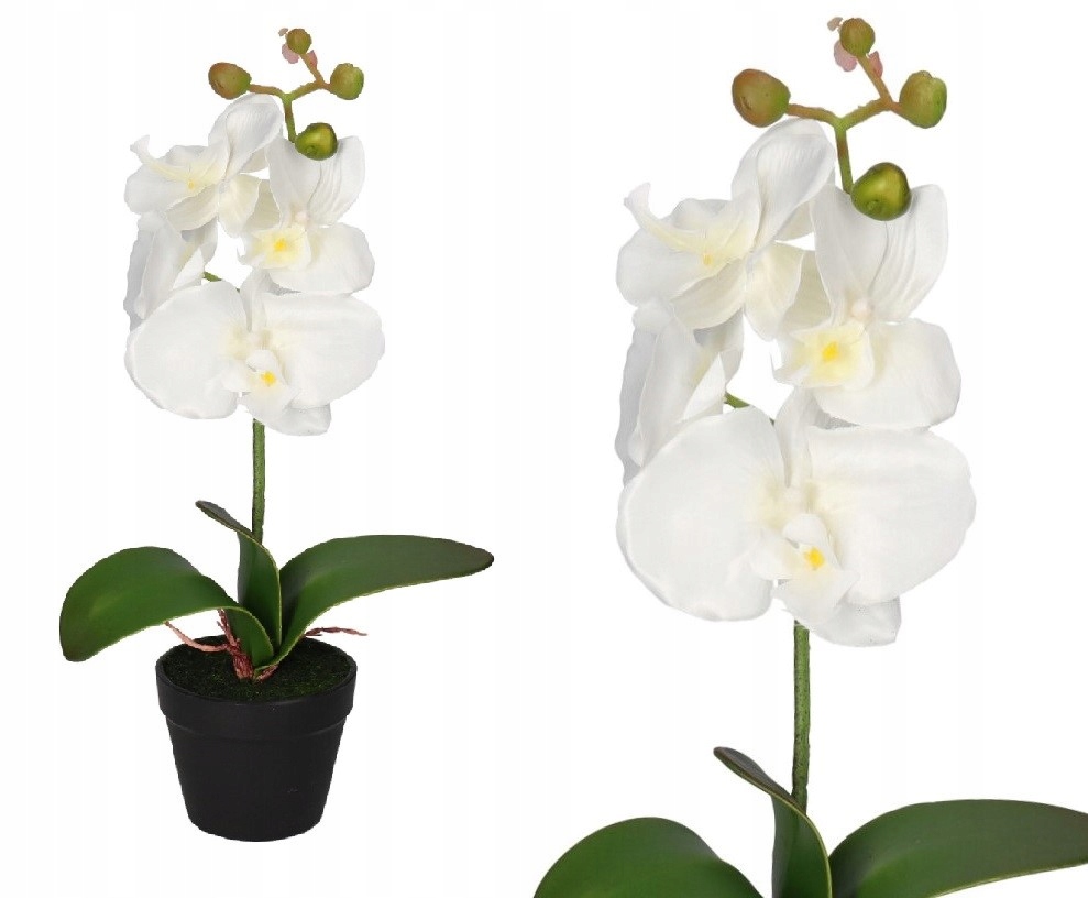 

Storczyk Orchidea Sztuczne Kwiaty W Doniczce 38 CM