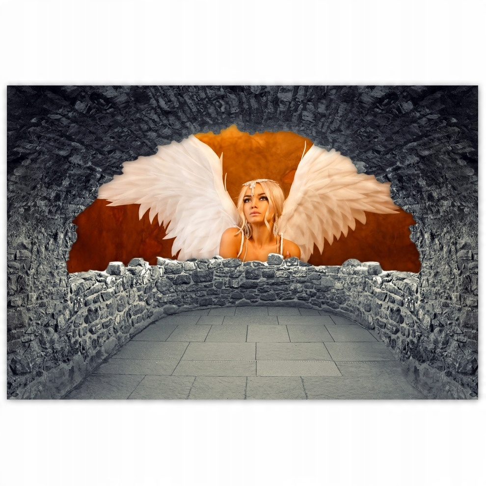 

Naklejki 60x40 Anioł kobieta