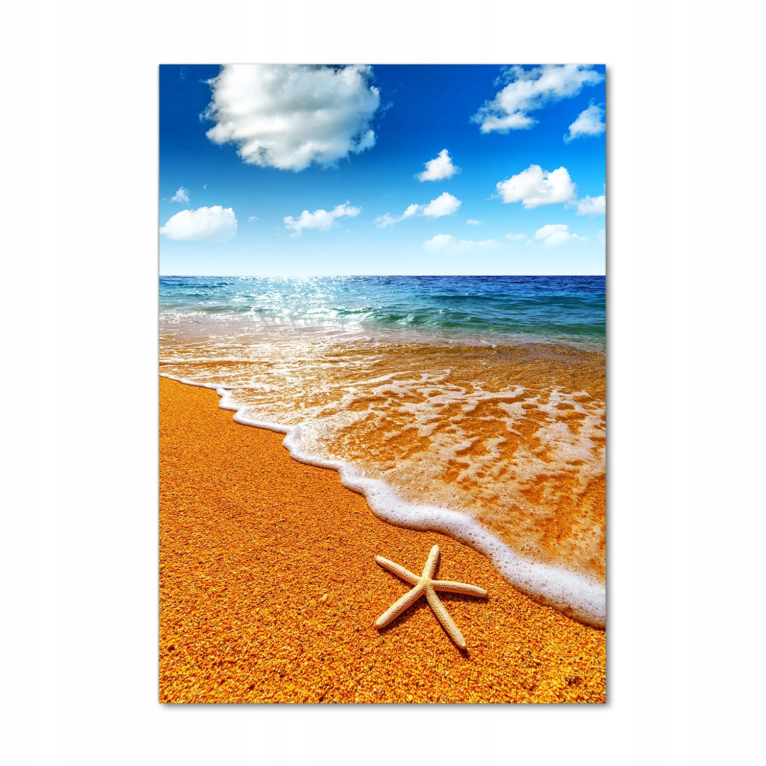 

Foto obraz akrylowy Rozgwiazda na plaży 70x100cm