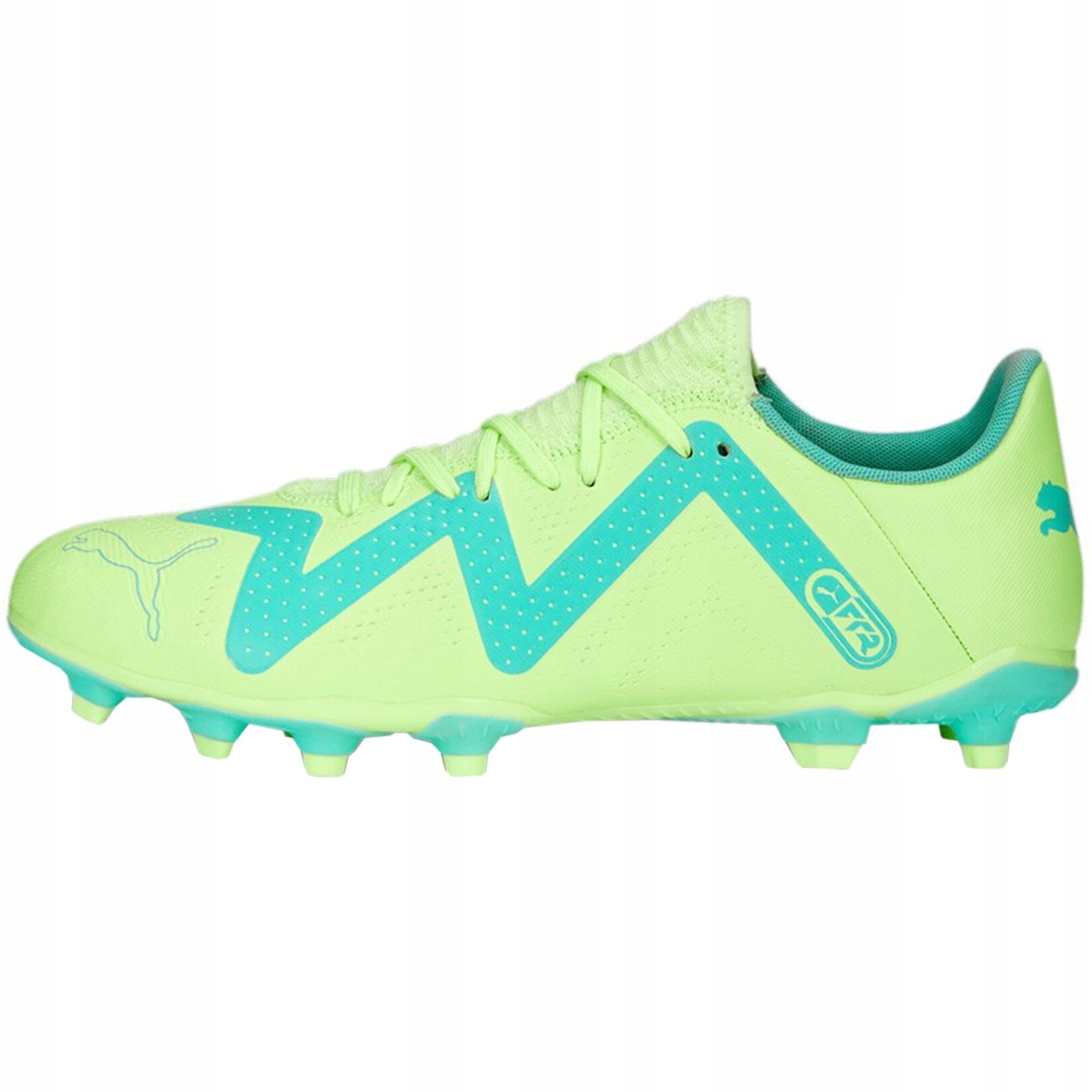 Buty Piłkarskie Korki Puma Future 107187-03 R. 42