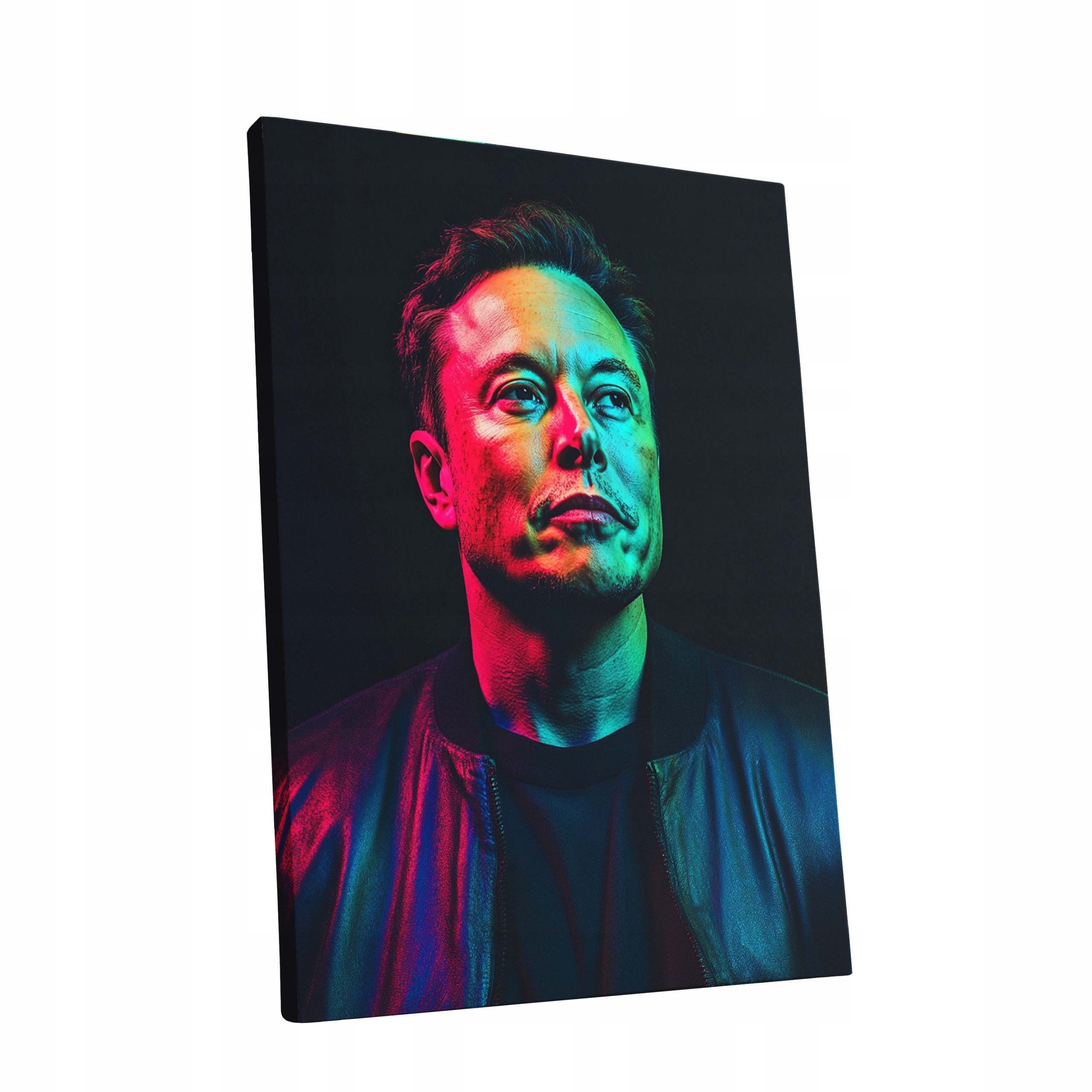 Obraz na plátně Portrét Elon Musk v obývacím pokoji Elona Muska dárek 90x120