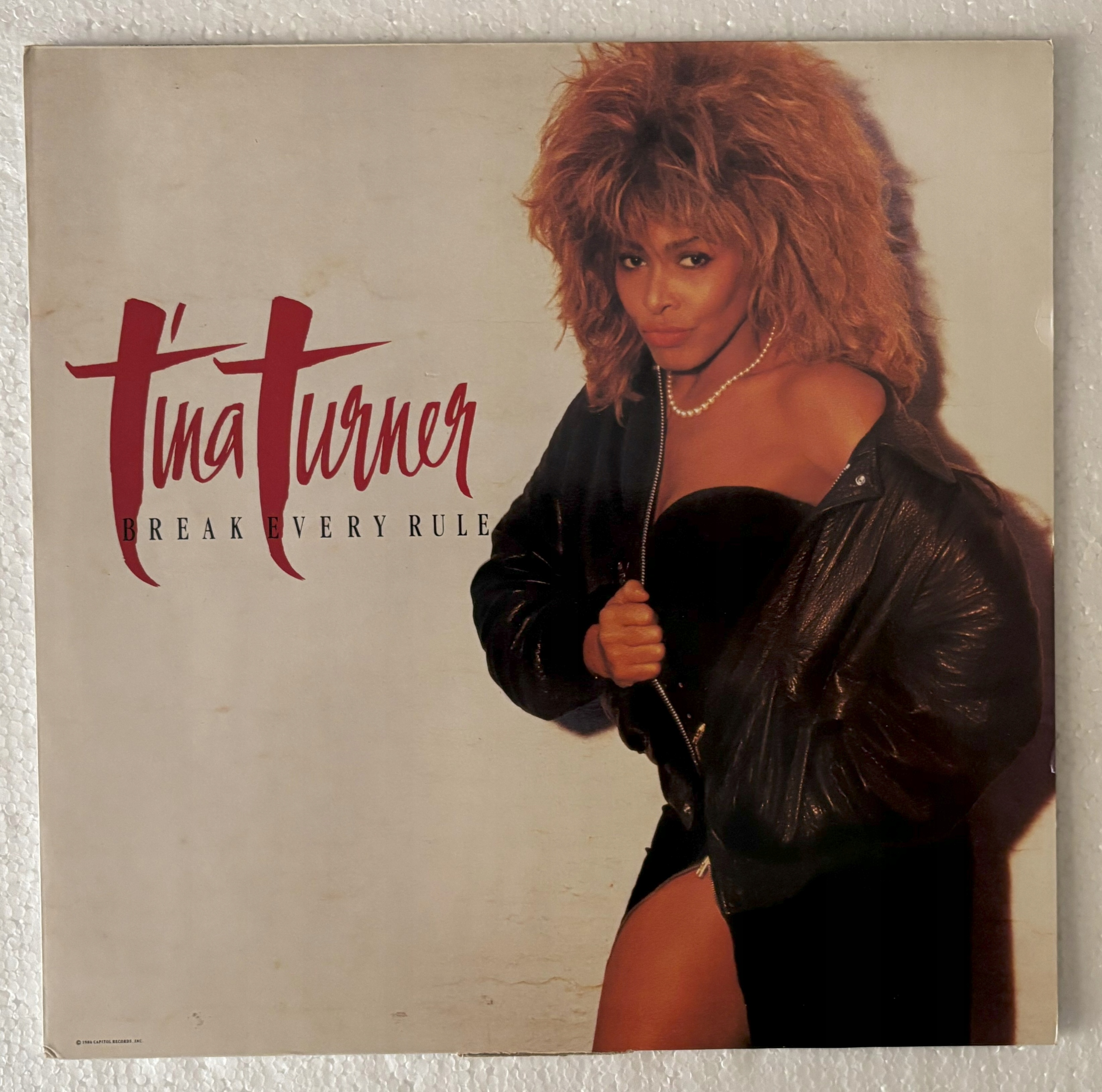 洋楽 Tina Turner Break Every Rule Deluxe 洋楽 Tina Turner Break Every Rule Deluxe Tina Turner / Break