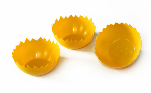 SKORUPKA WIELKANOCA NA RZEŻUCHĘ OWIES ŻÓŁTA