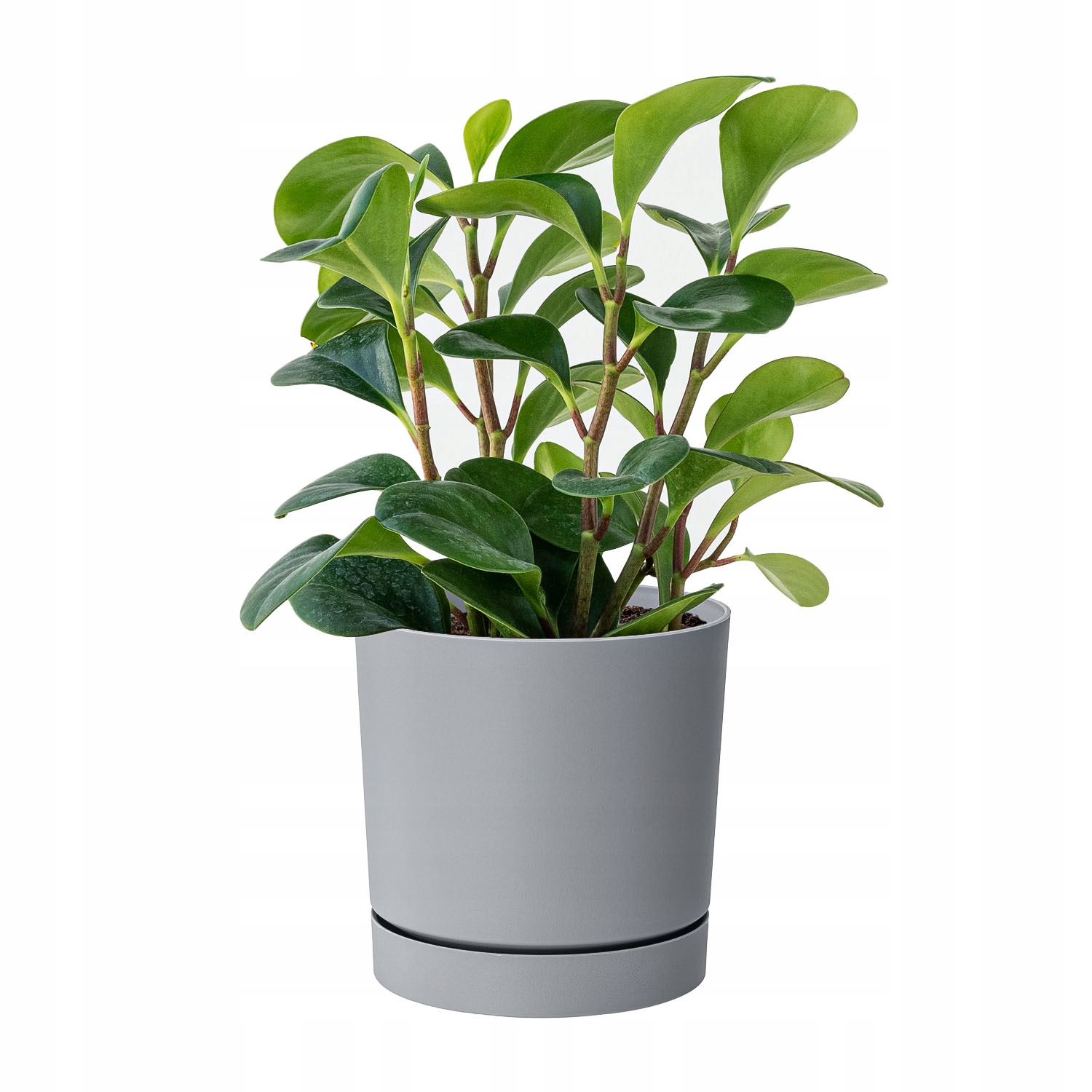 Okrągła doniczka Niska donica TUBO P DPOP110 Szara