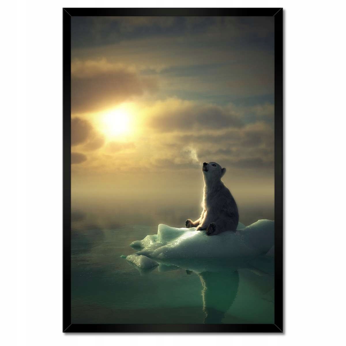 Plakáty v rámu 40x60 Zvířata Zvířátka