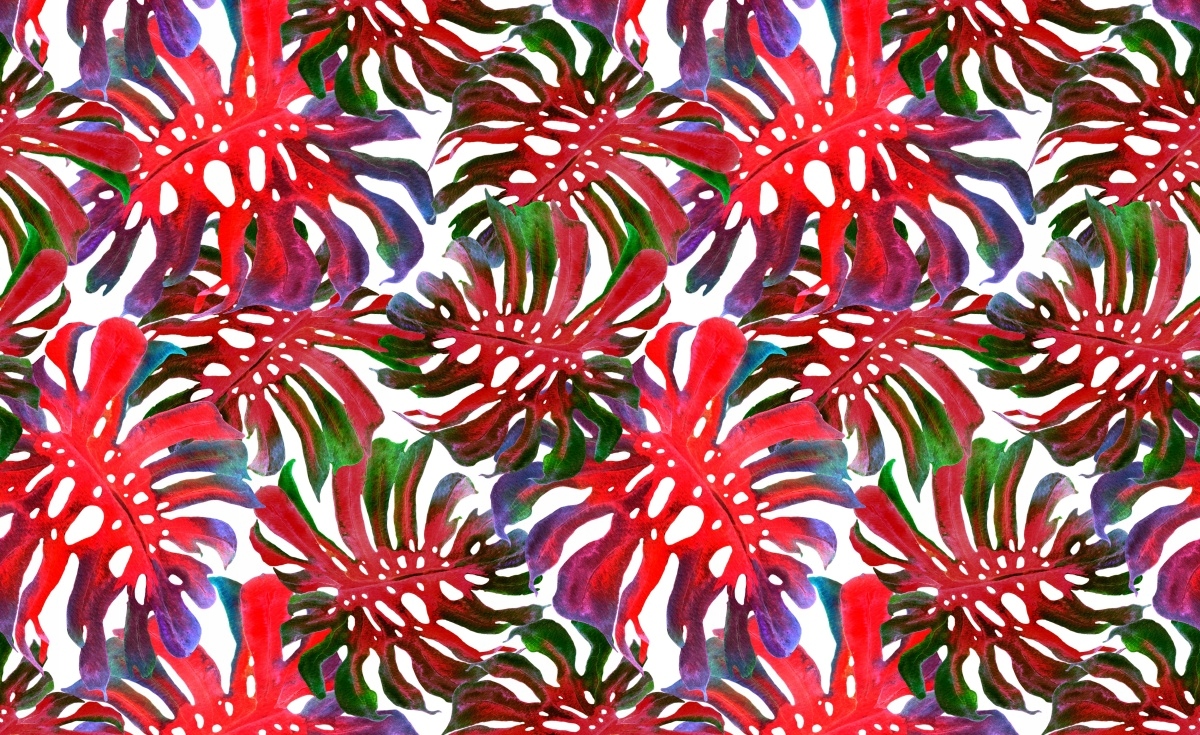

Fototapeta Flizelina Egzotyczne liście 416x254