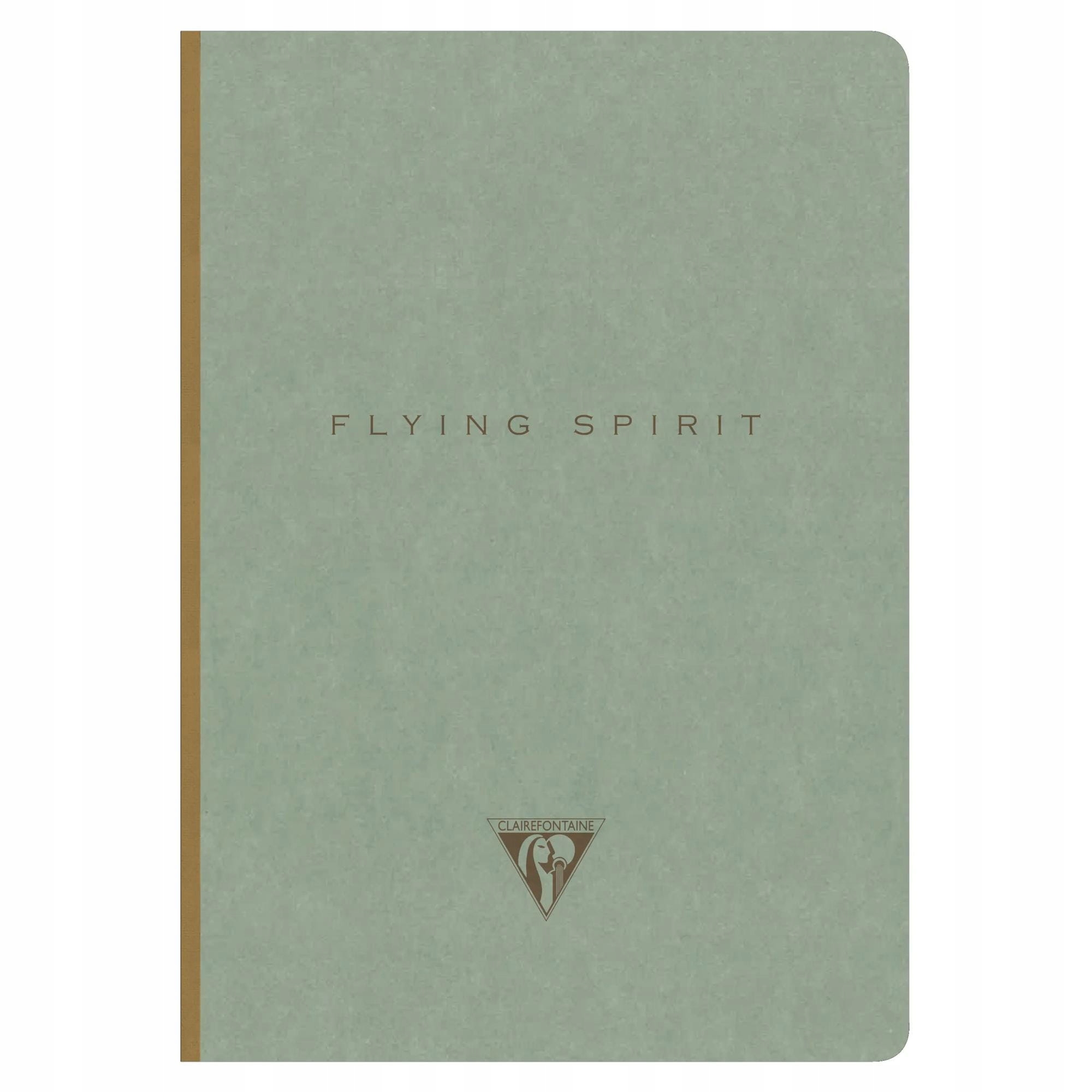 Notatnik Clairefontaine Flying Spirit A5, linie, zielony