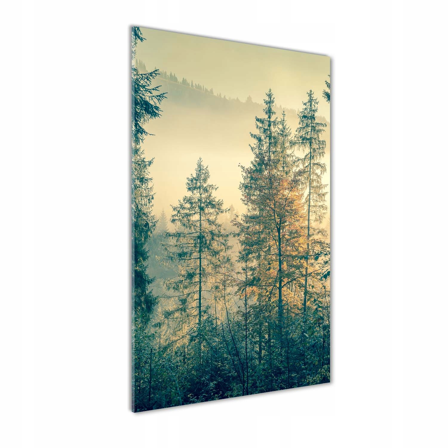 

Foto obraz akryl do salonu Mgła nad lasem 50x100cm