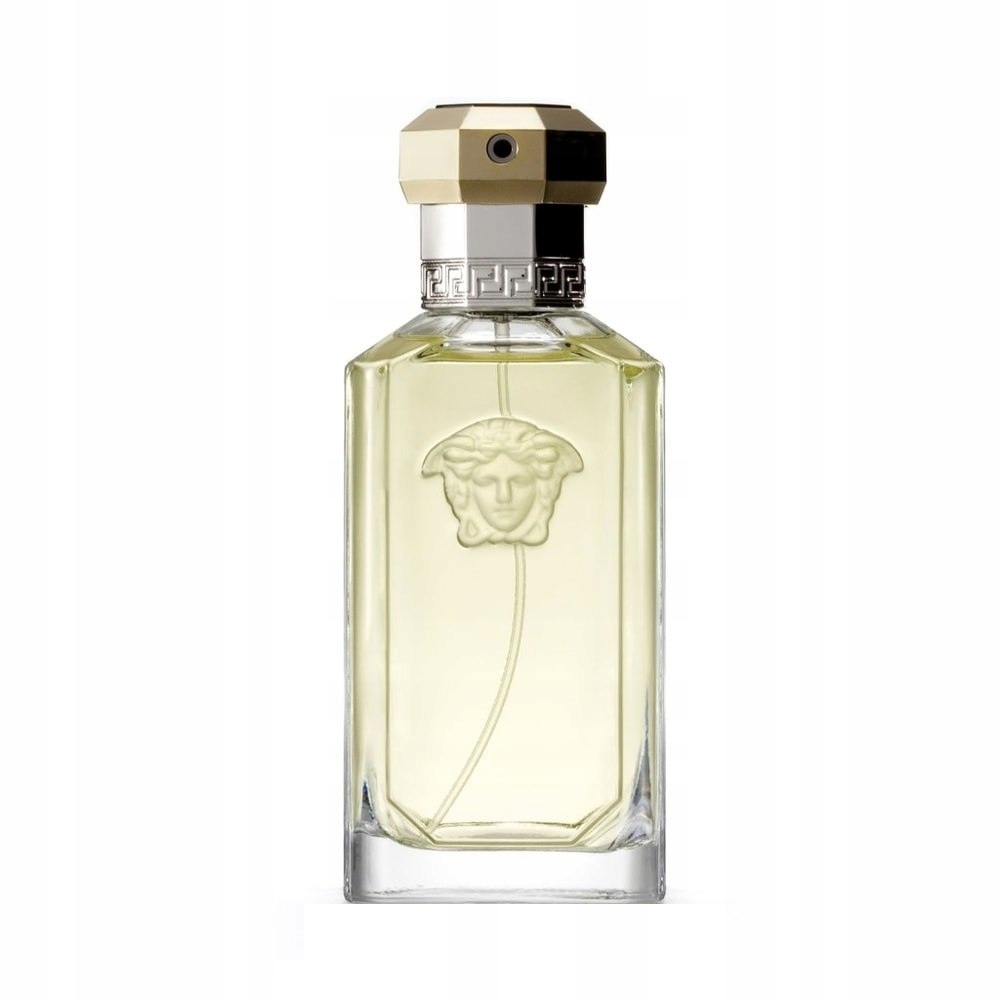 Versace The Dreamer toaletní voda sprej 100 ml