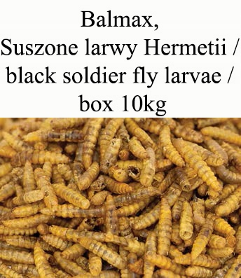 Balmax, Black soldier fly larvae, Hermetia, larvy mouchy černé pro ryby 10 kg