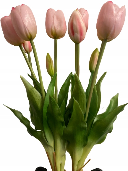 

Tulipan Tulipany Silikonowe Bukiet gumowe