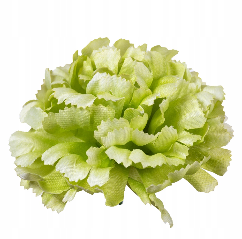 

Goździk główka zielony sztuczny wyrobowy