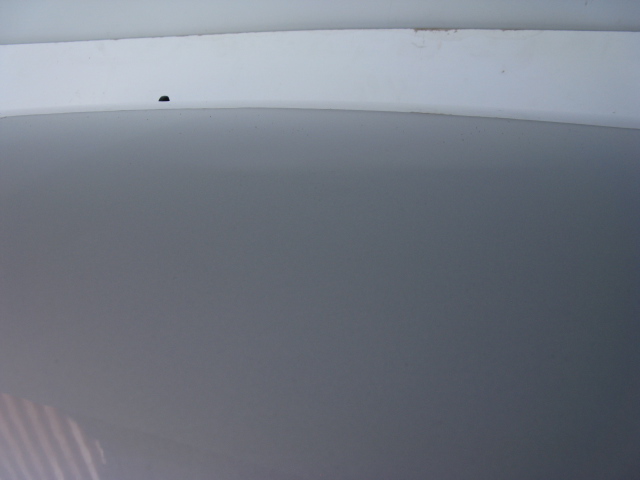 bonnet SEDIC,SUZUKI SX4 ZCC