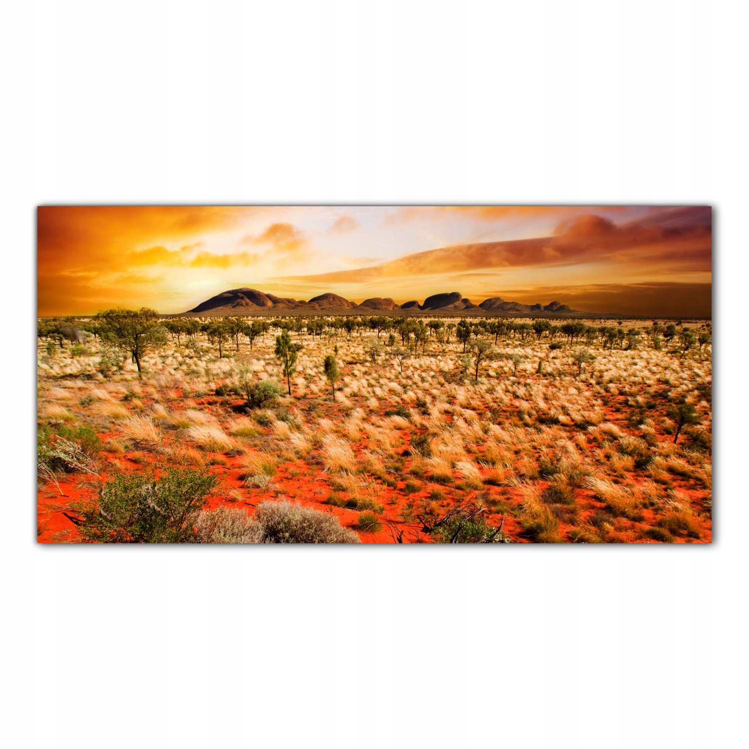 

Obraz na szkle Foto Pustynia Zachód Słońca 100x50