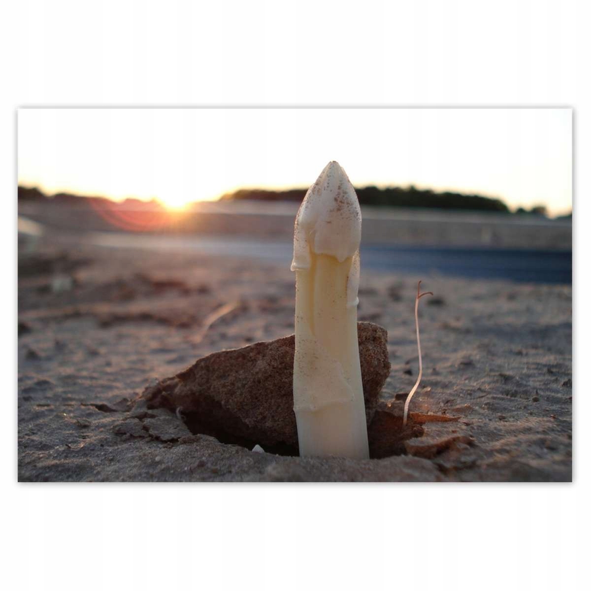 Plakáty 200x135 První chřest