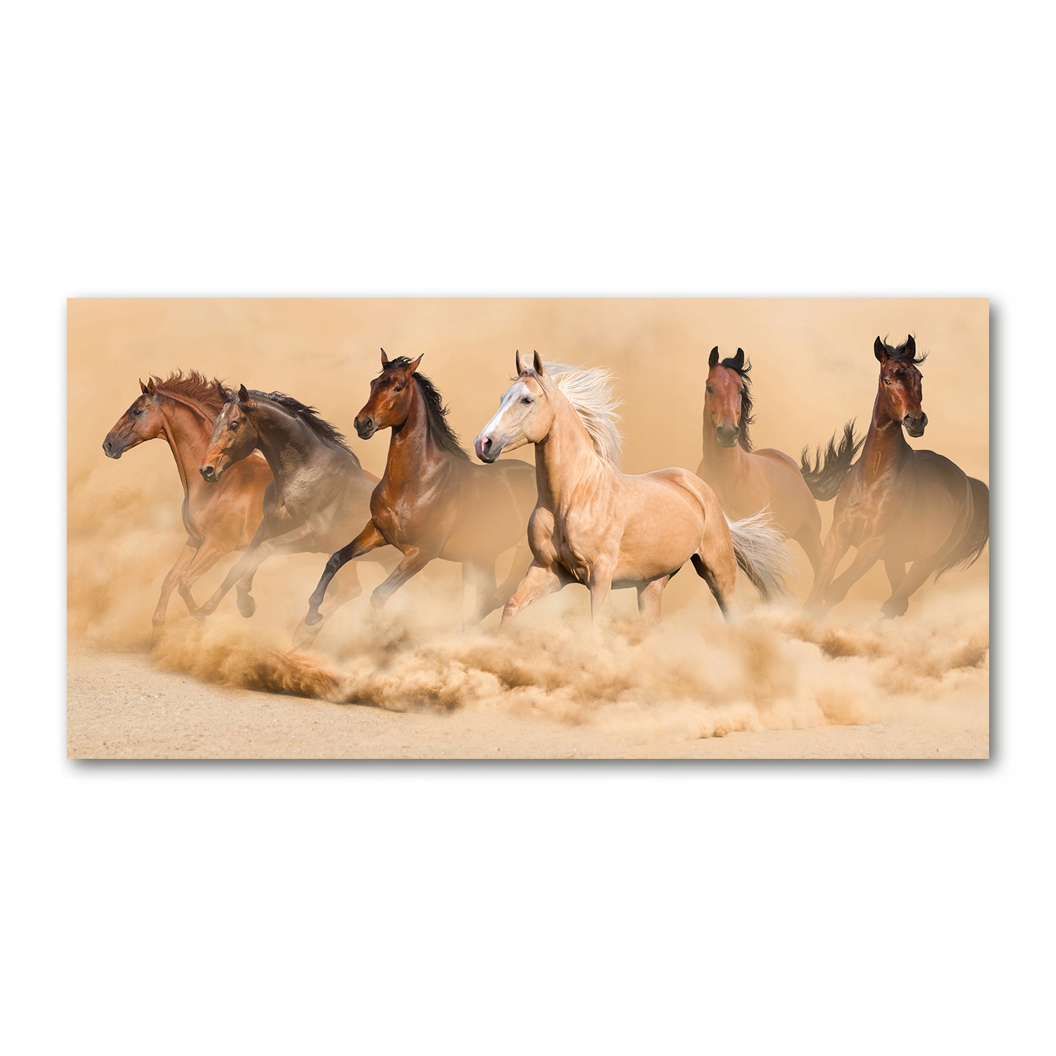 

Foto obraz akryl zdjęcie Konie pustynia 120X60 cm