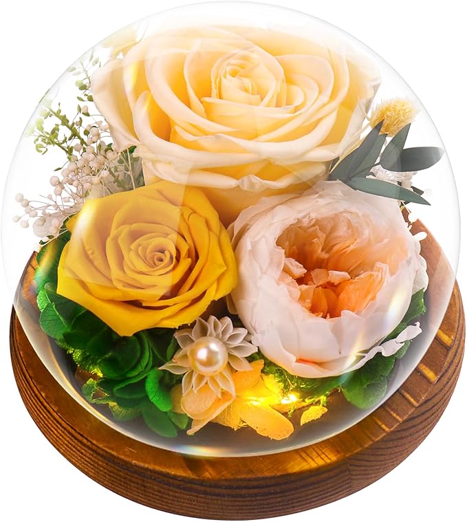 Stabilizovaná Růže ve skleněné kopuli – Pravý květ Dárek pro ni