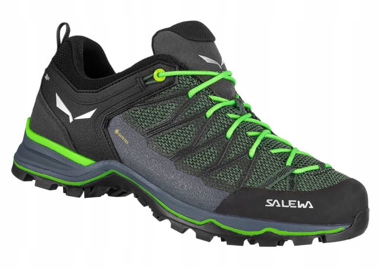 Buty Męskie Salewa Mtn Trainer Lite Gore-Tex myrtle/ombre blue 44