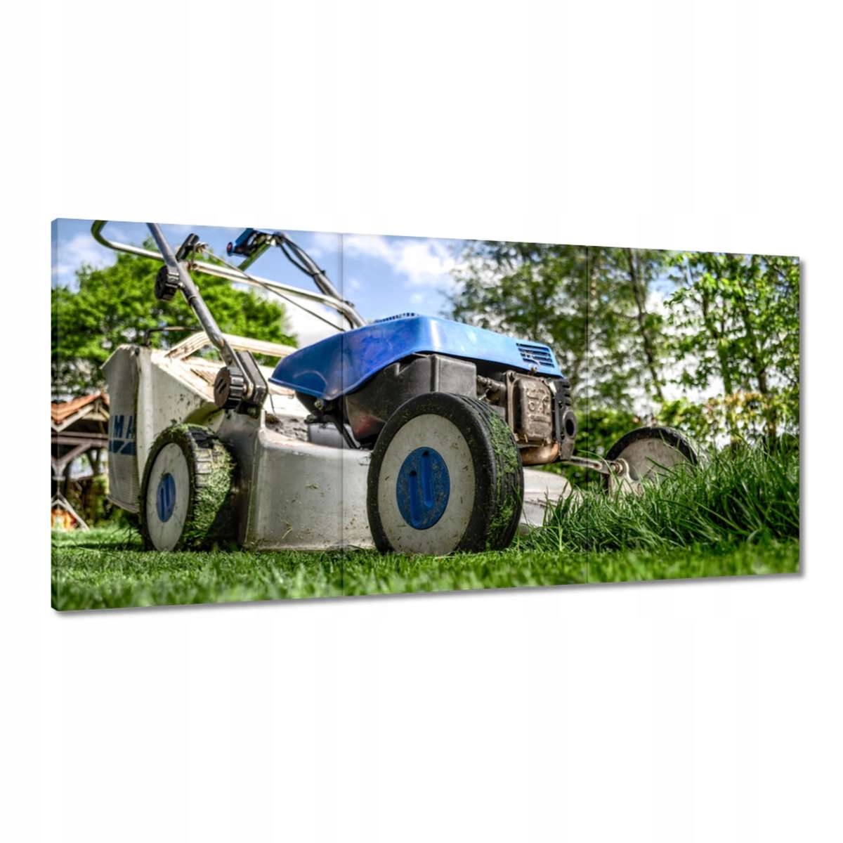 Obrazy 180x90 Benzínová kosačka